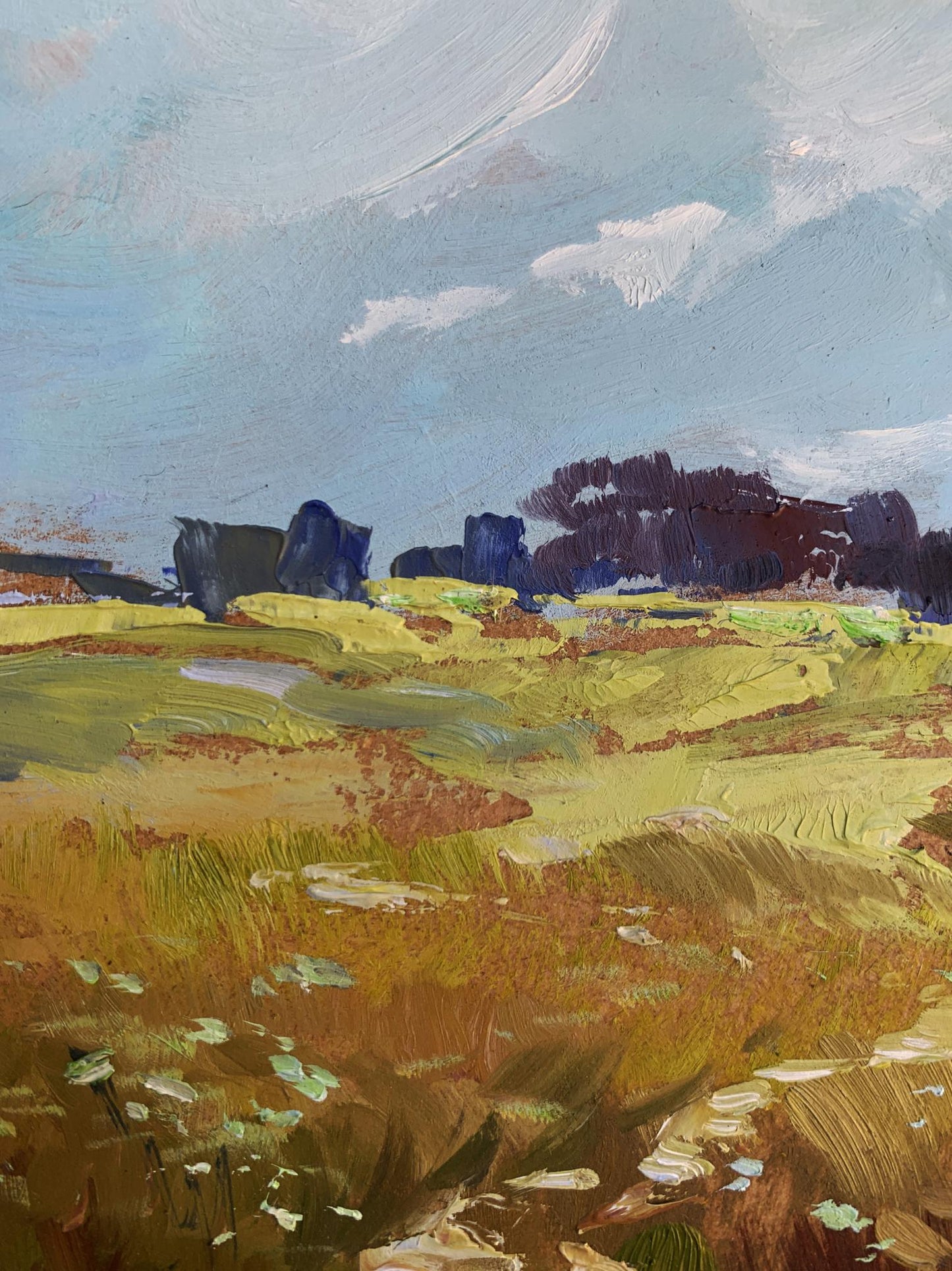 OIl painting Summer yellow field Yuriy Suprunchuk