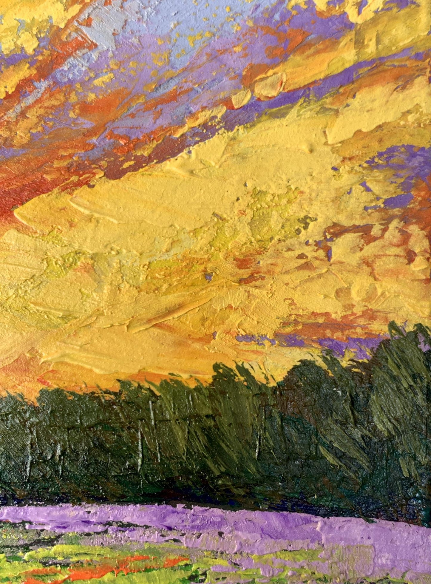 Oil painting Watching the sunset in the field V. Zadorozhnya