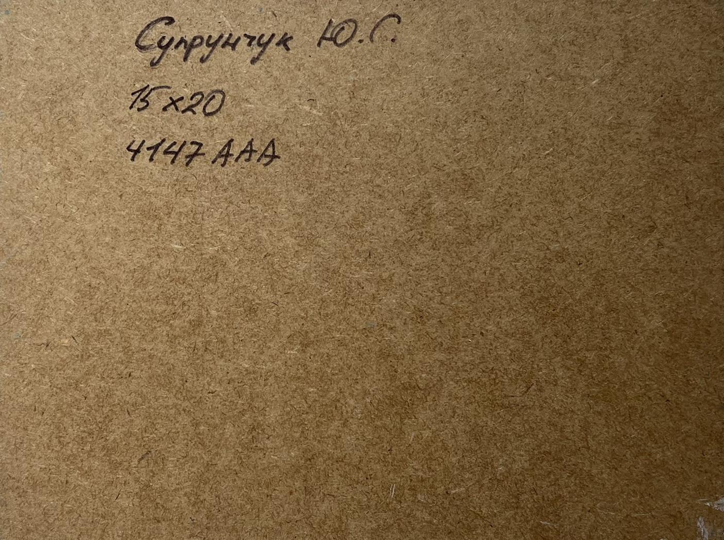 OIl painting Seagulls on the seashore Yuriy Suprunchuk