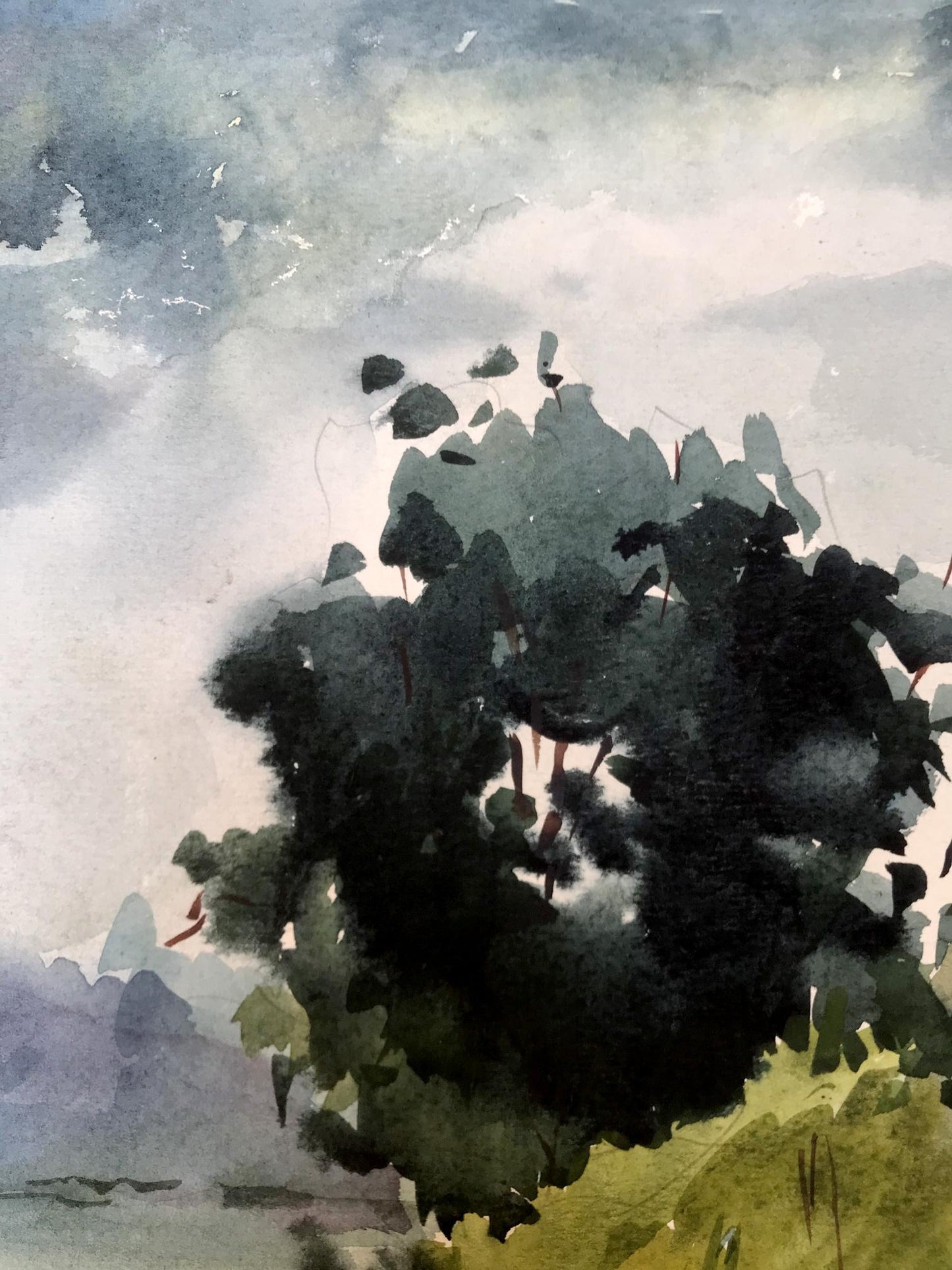 Watercolor painting On the shore in the forest Litvinov Oleg Arkad'yevich
