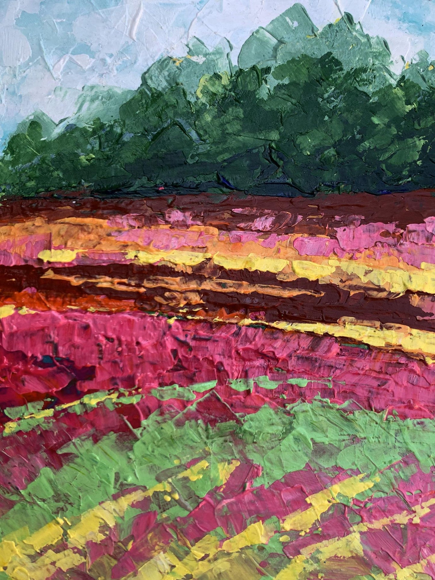 Oil painting Colorful field V. Zadorozhnya