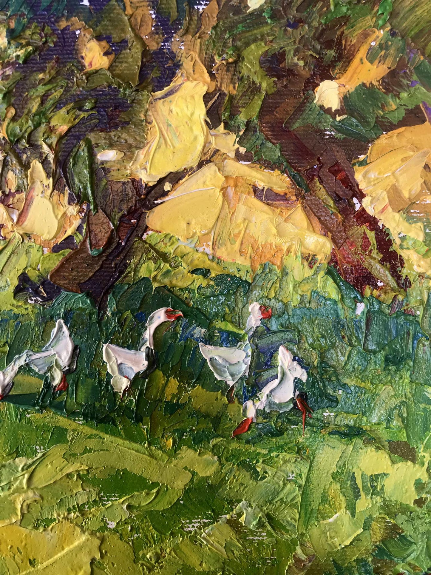Nature Landscape