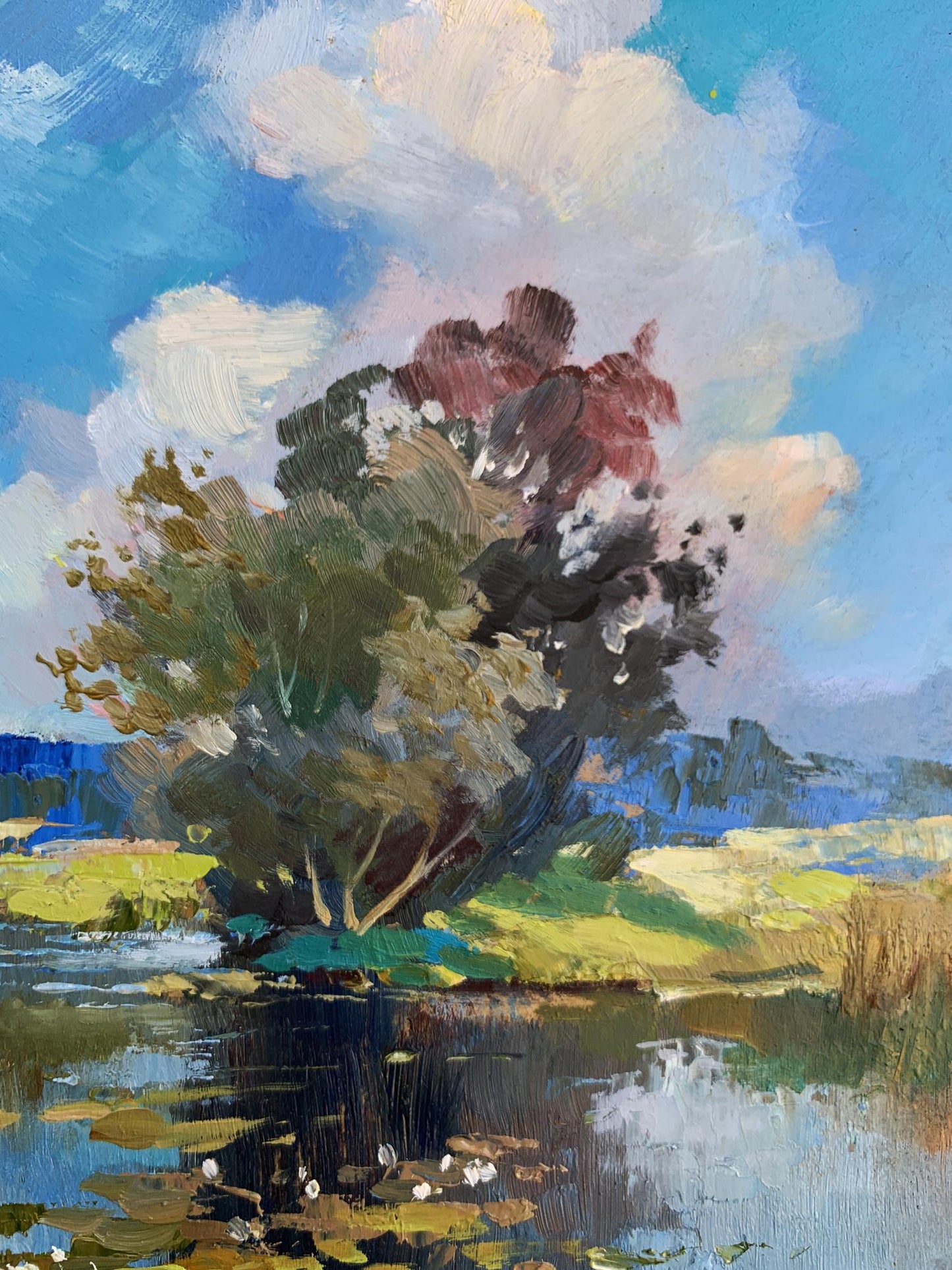 OIl painting Memory of a place in nature Yuriy Suprunchuk