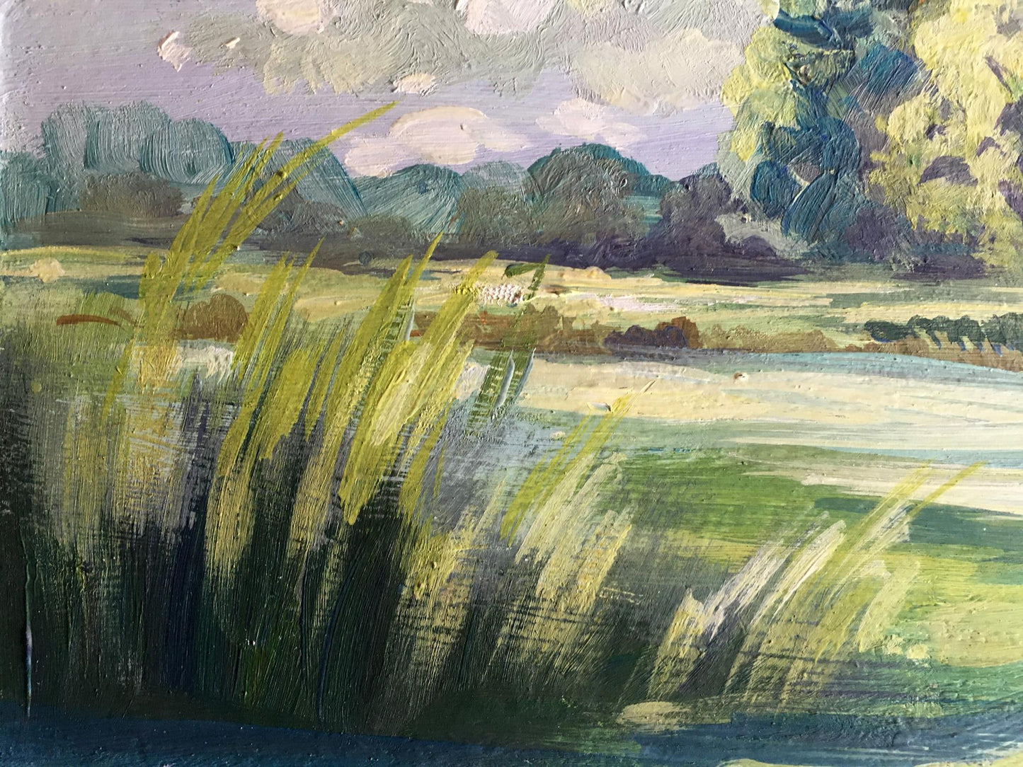 Oil painting Rest by the river Svetlana Gramm