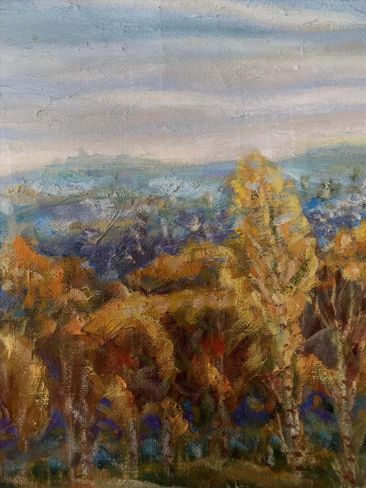 Nature Landscape