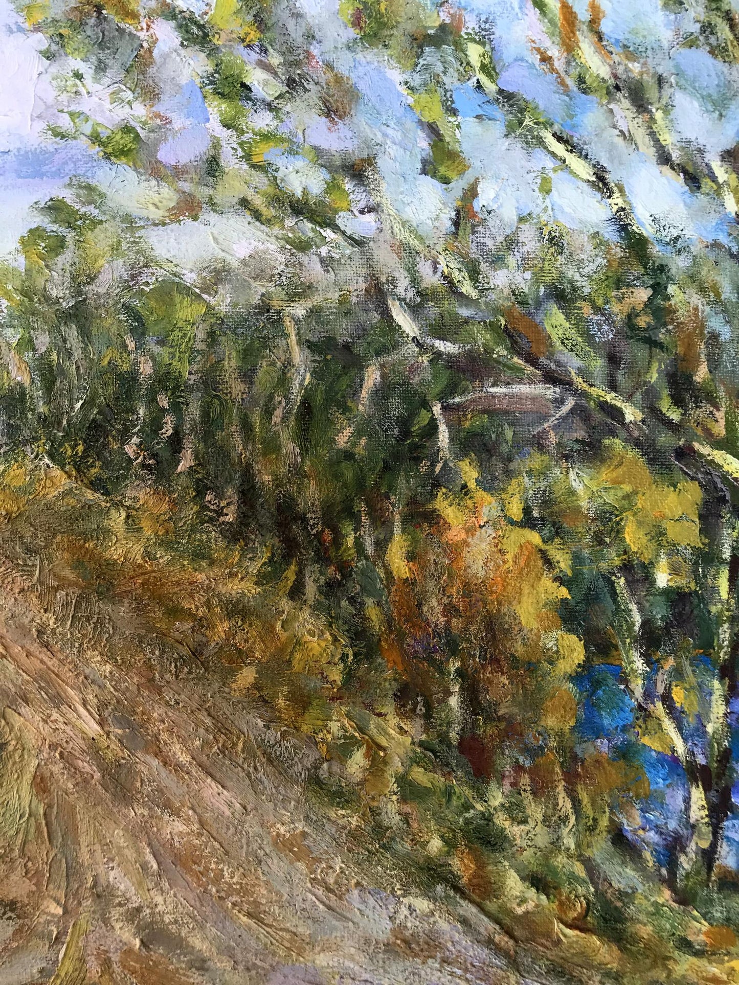 Nature Landscape