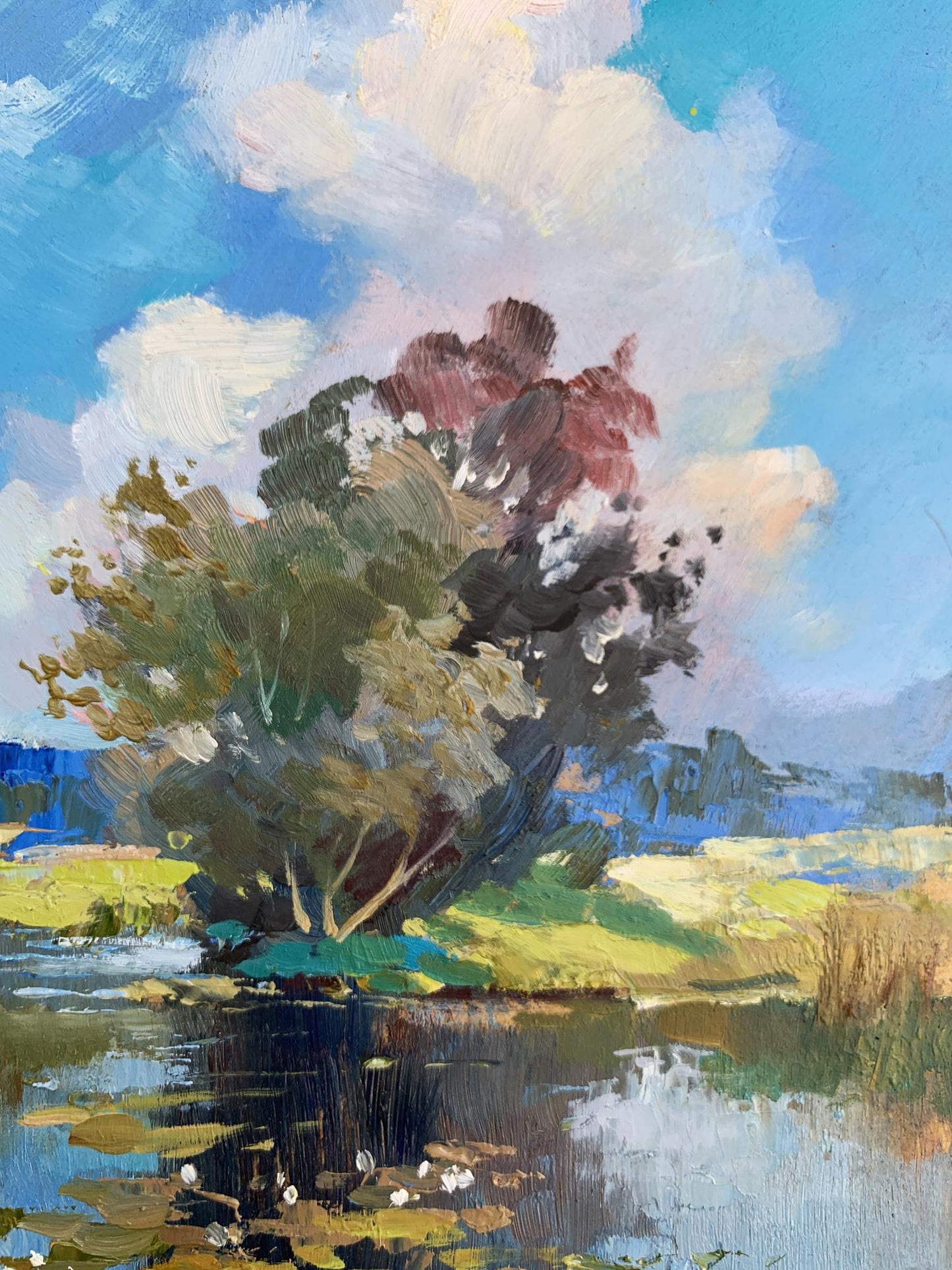 OIl painting Memory of a place in nature Yuriy Suprunchuk