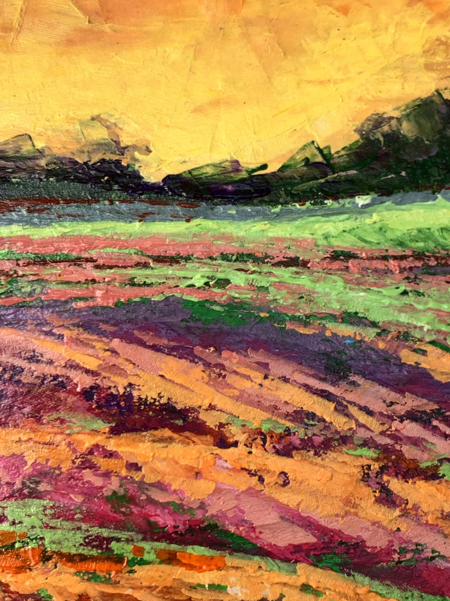 Oil painting Sunset behind the forest V. Zadorozhnya