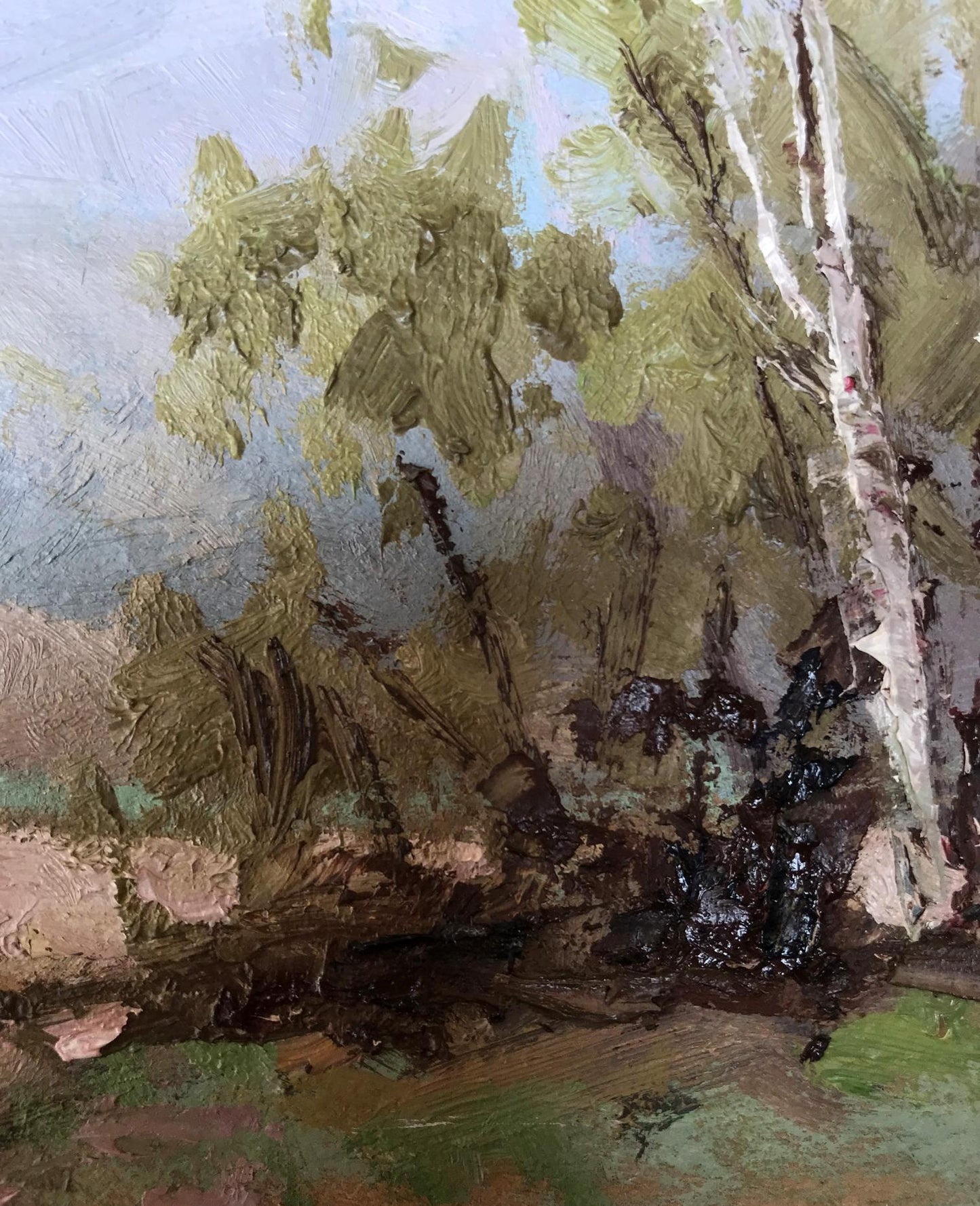 Nature Landscape