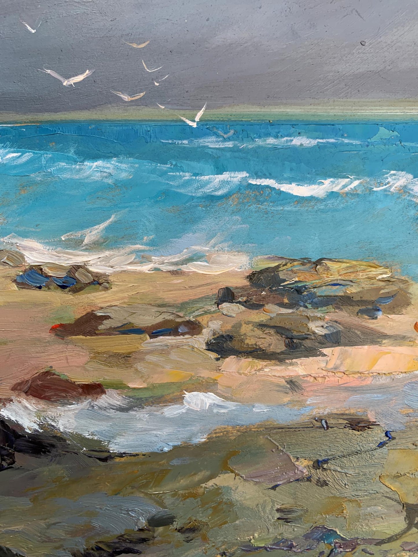 OIl painting White seagulls on the seashore Yuriy Suprunchuk