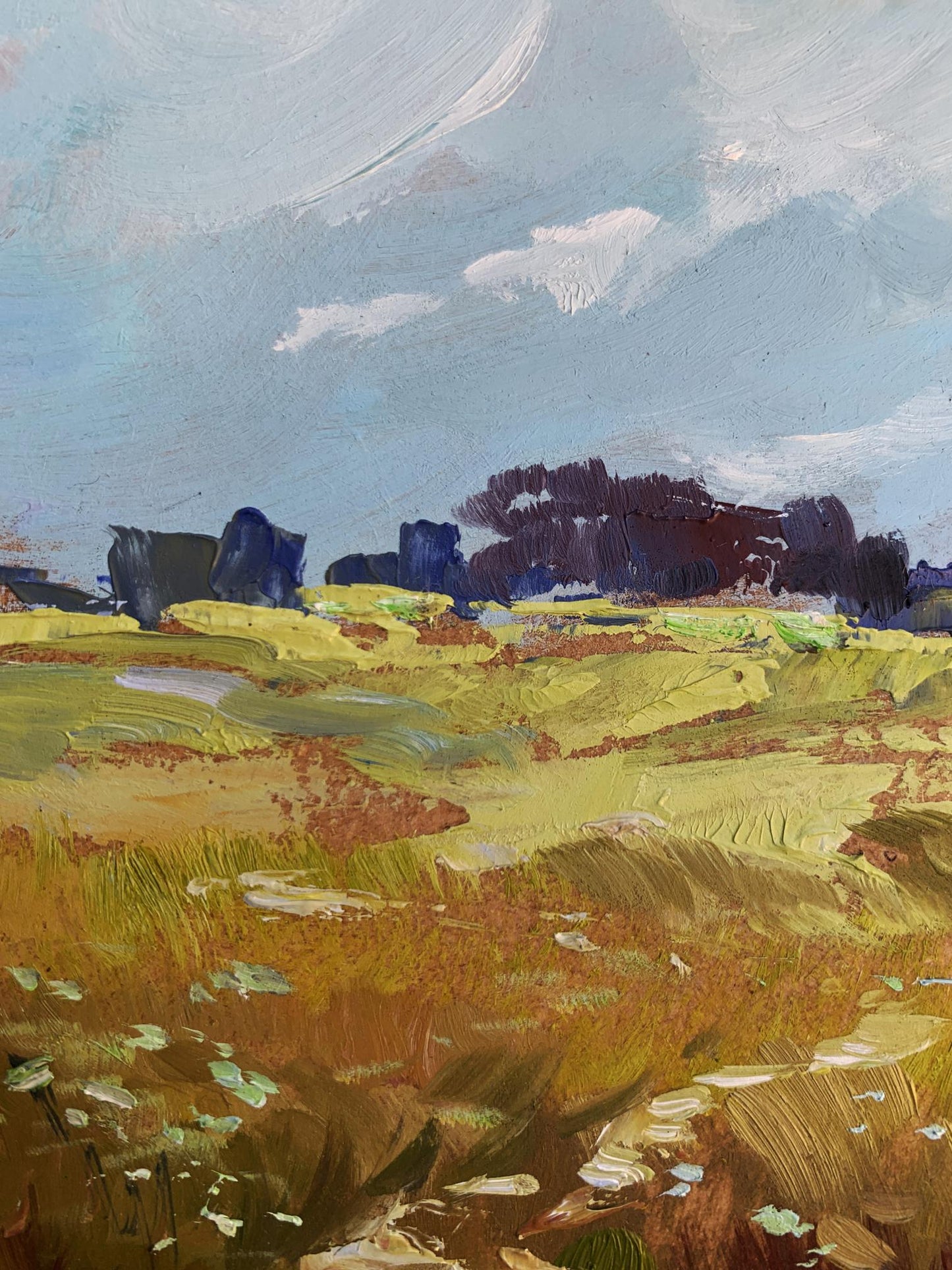 OIl painting Summer yellow field Yuriy Suprunchuk