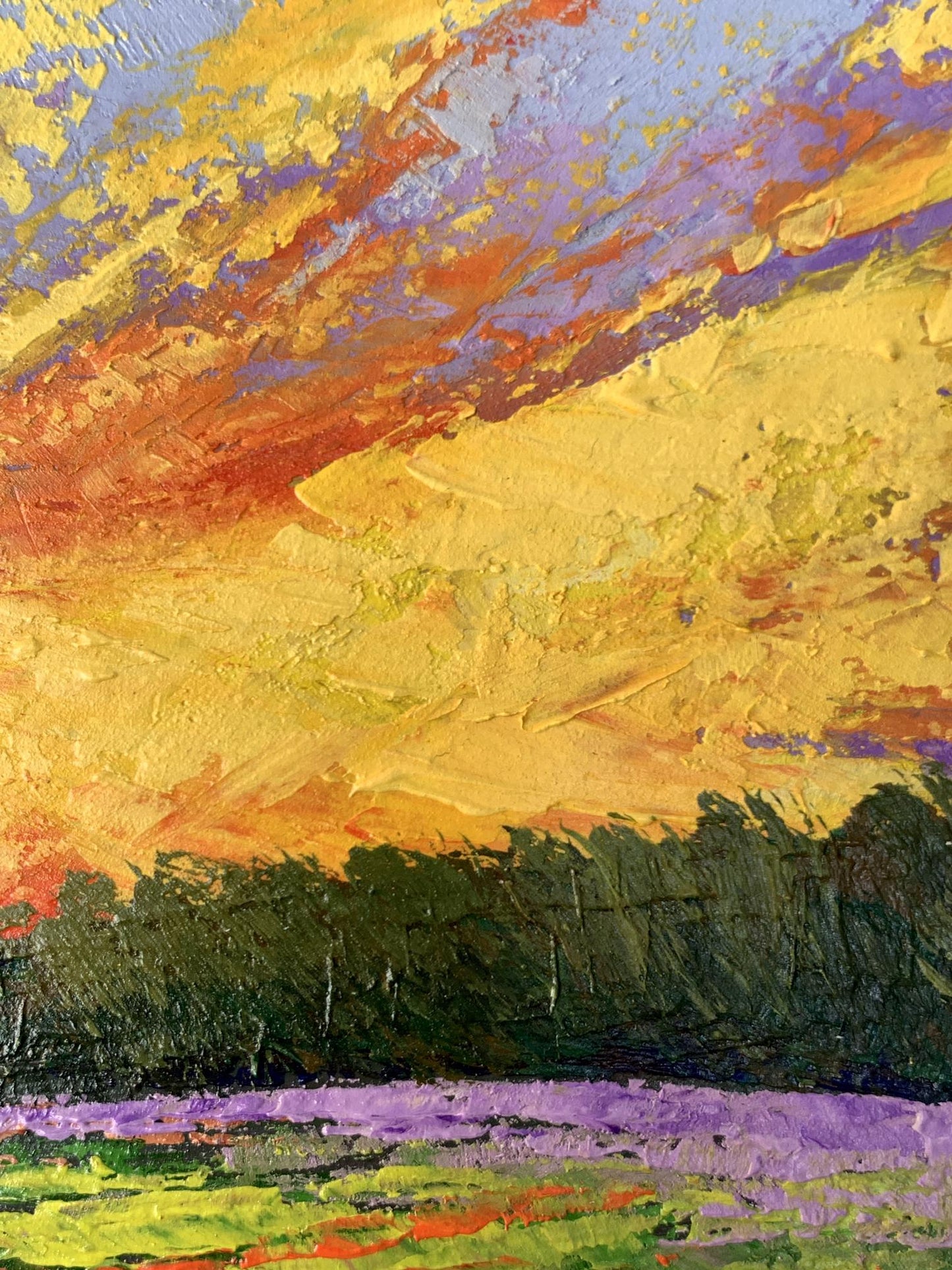 Oil painting Watching the sunset in the field V. Zadorozhnya
