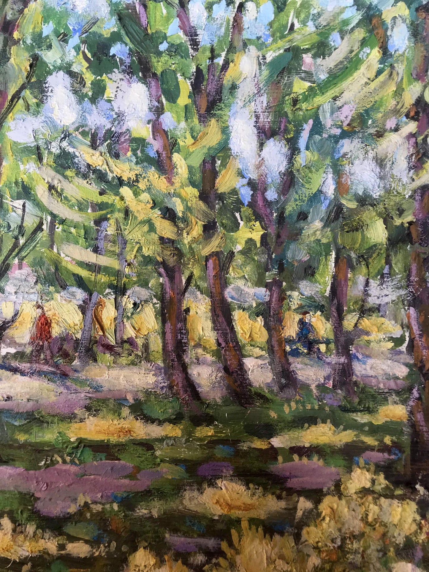 Nature Landscape