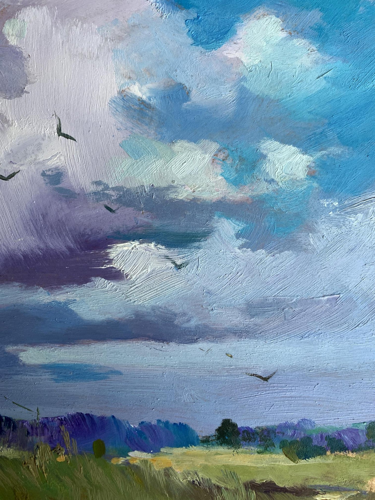 OIl painting In the village field Yuriy Suprunchuk