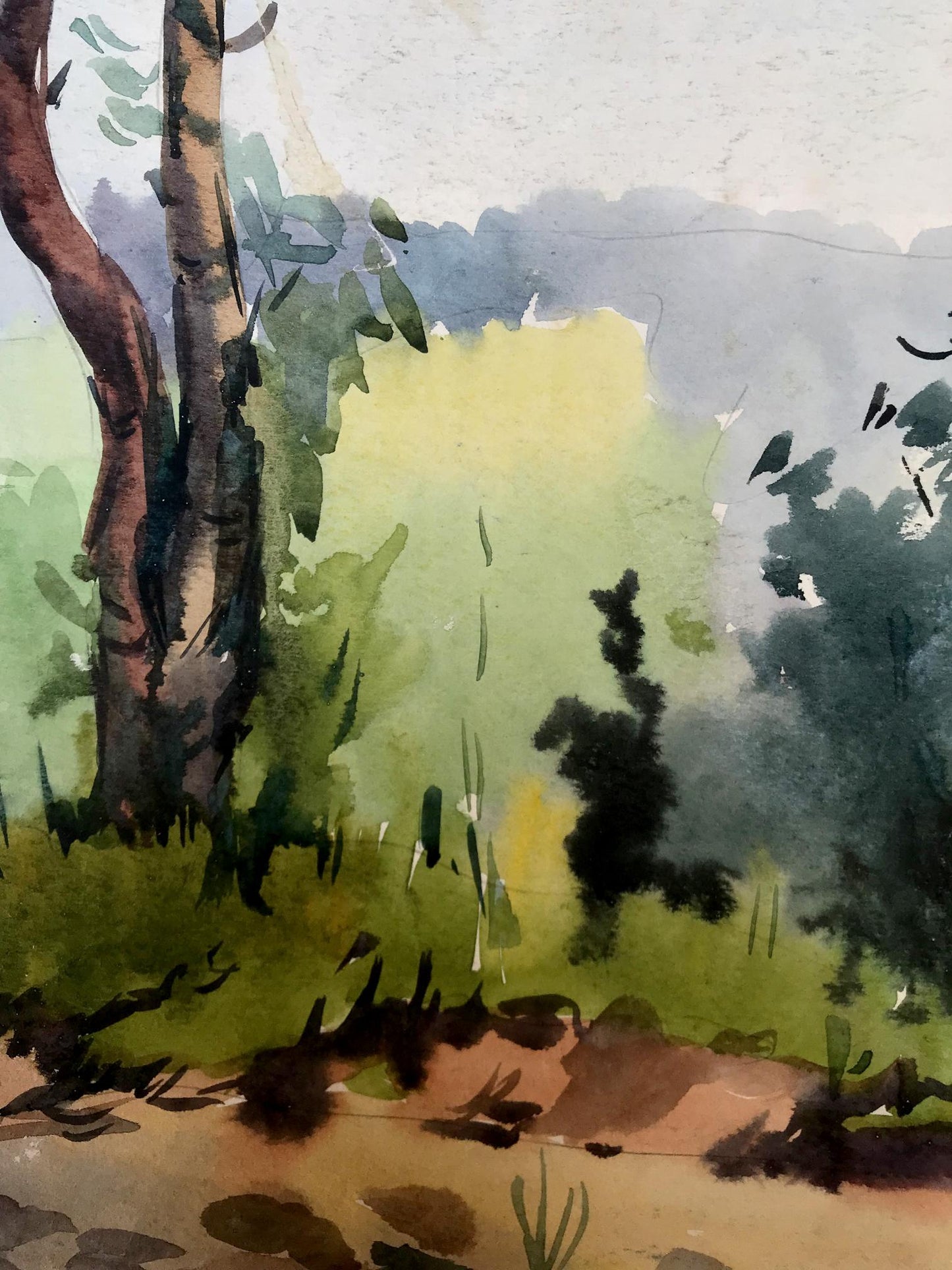 Watercolor painting Path to the forest Litvinov Oleg Arkad'yevich