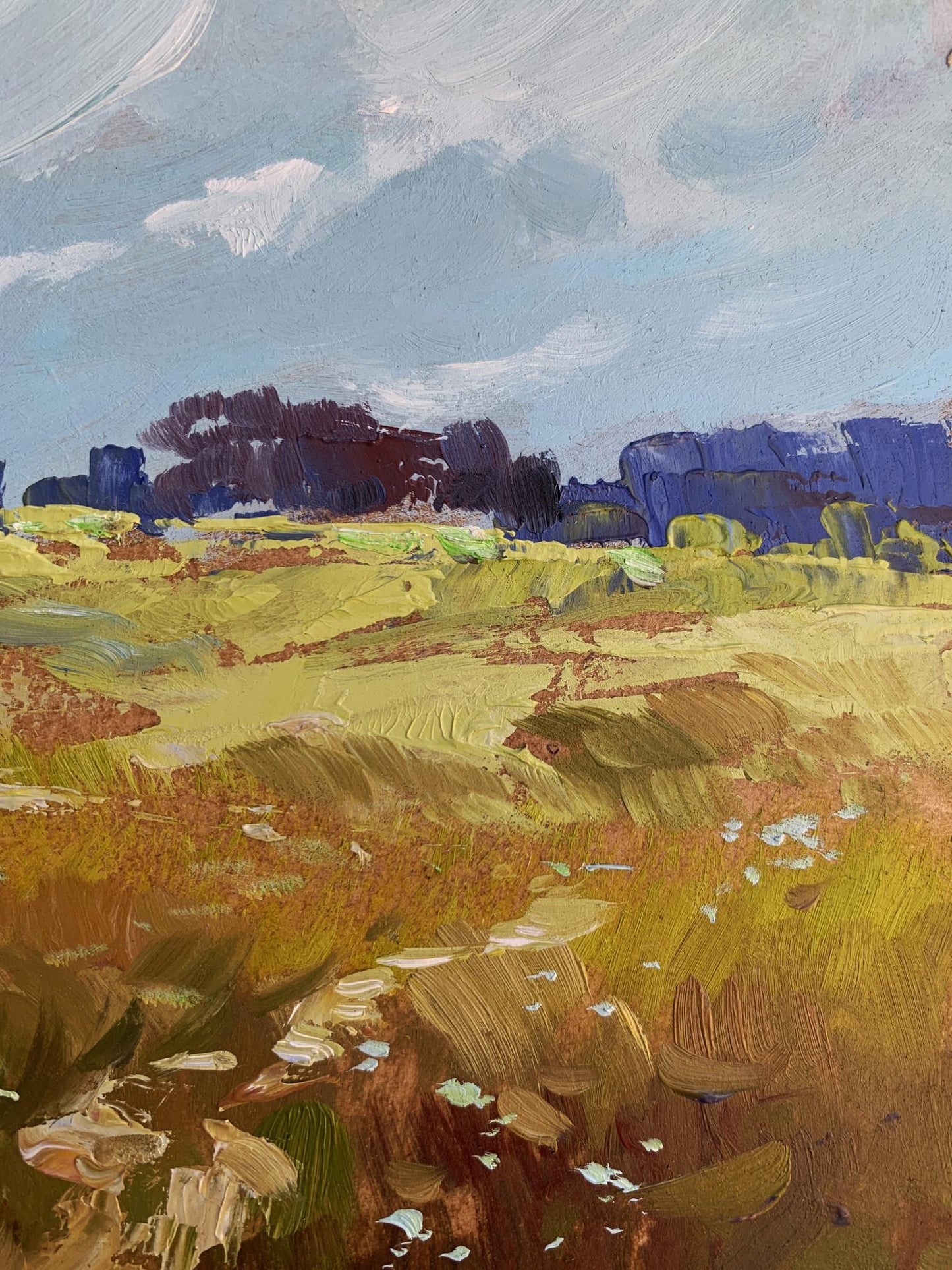 OIl painting Summer yellow field Yuriy Suprunchuk