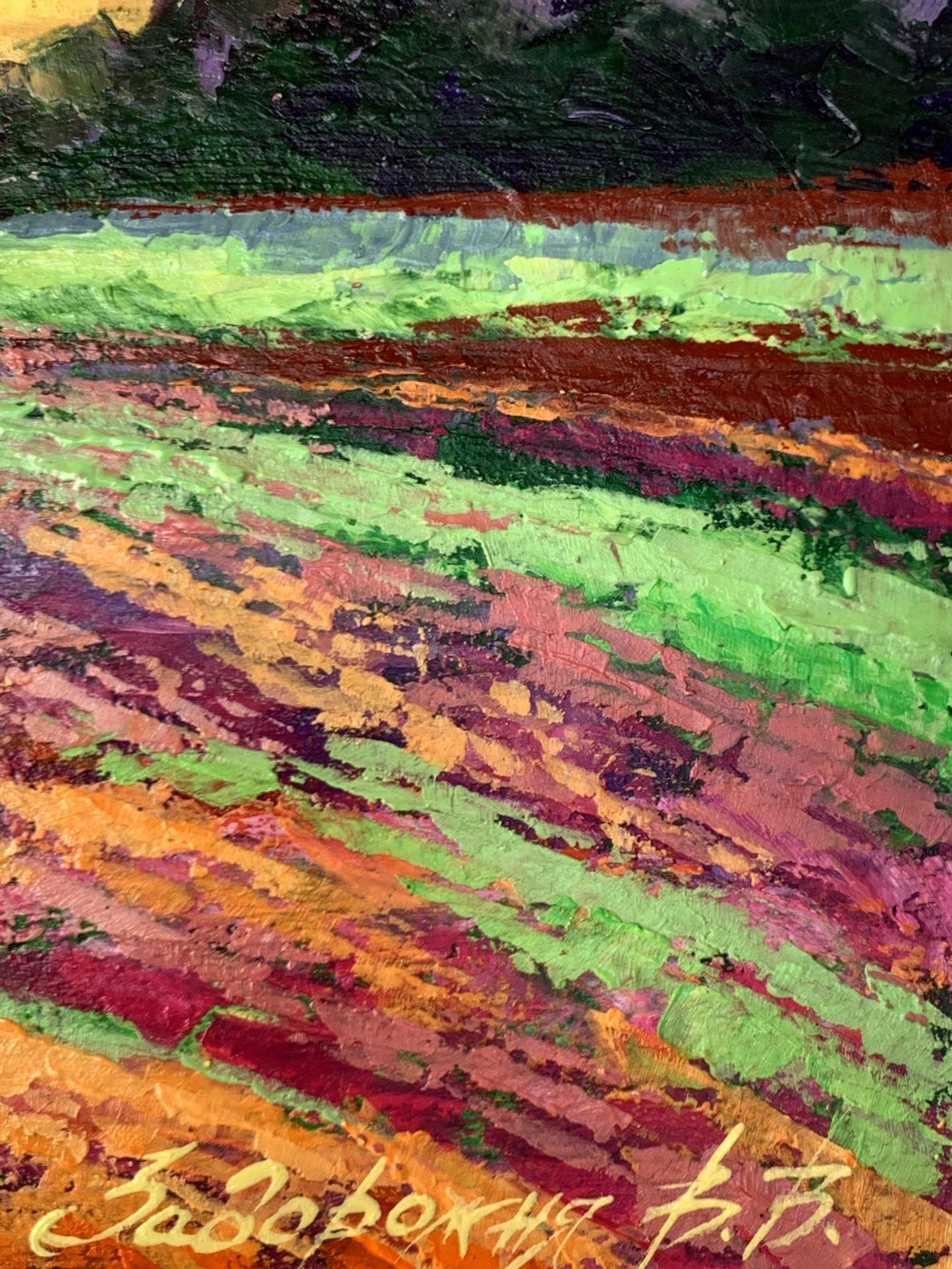 Oil painting Sunset behind the forest V. Zadorozhnya