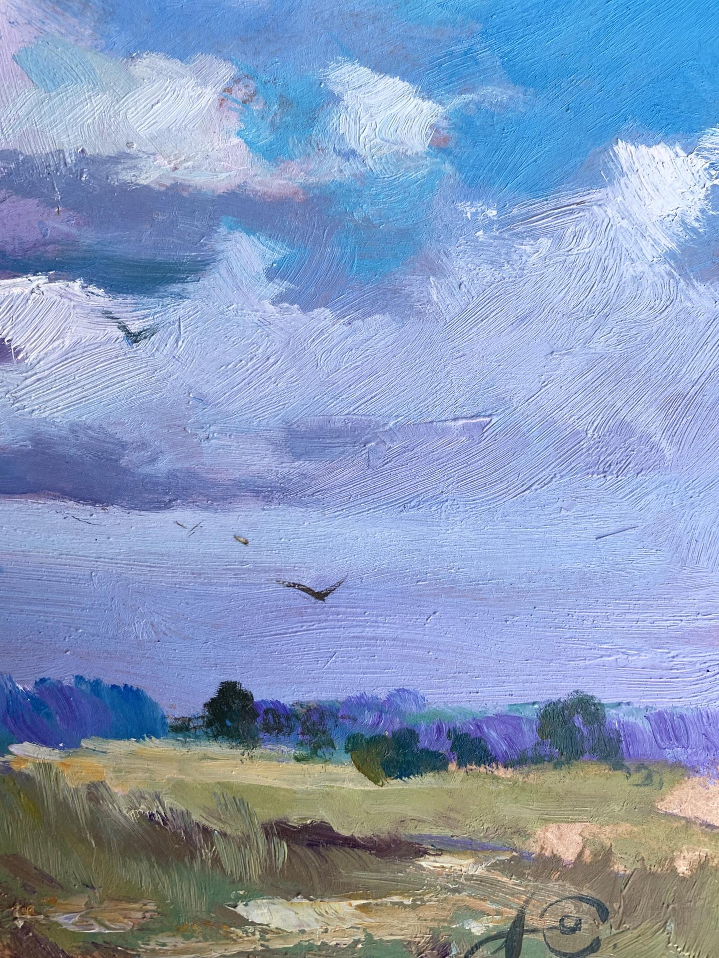 OIl painting In the village field Yuriy Suprunchuk