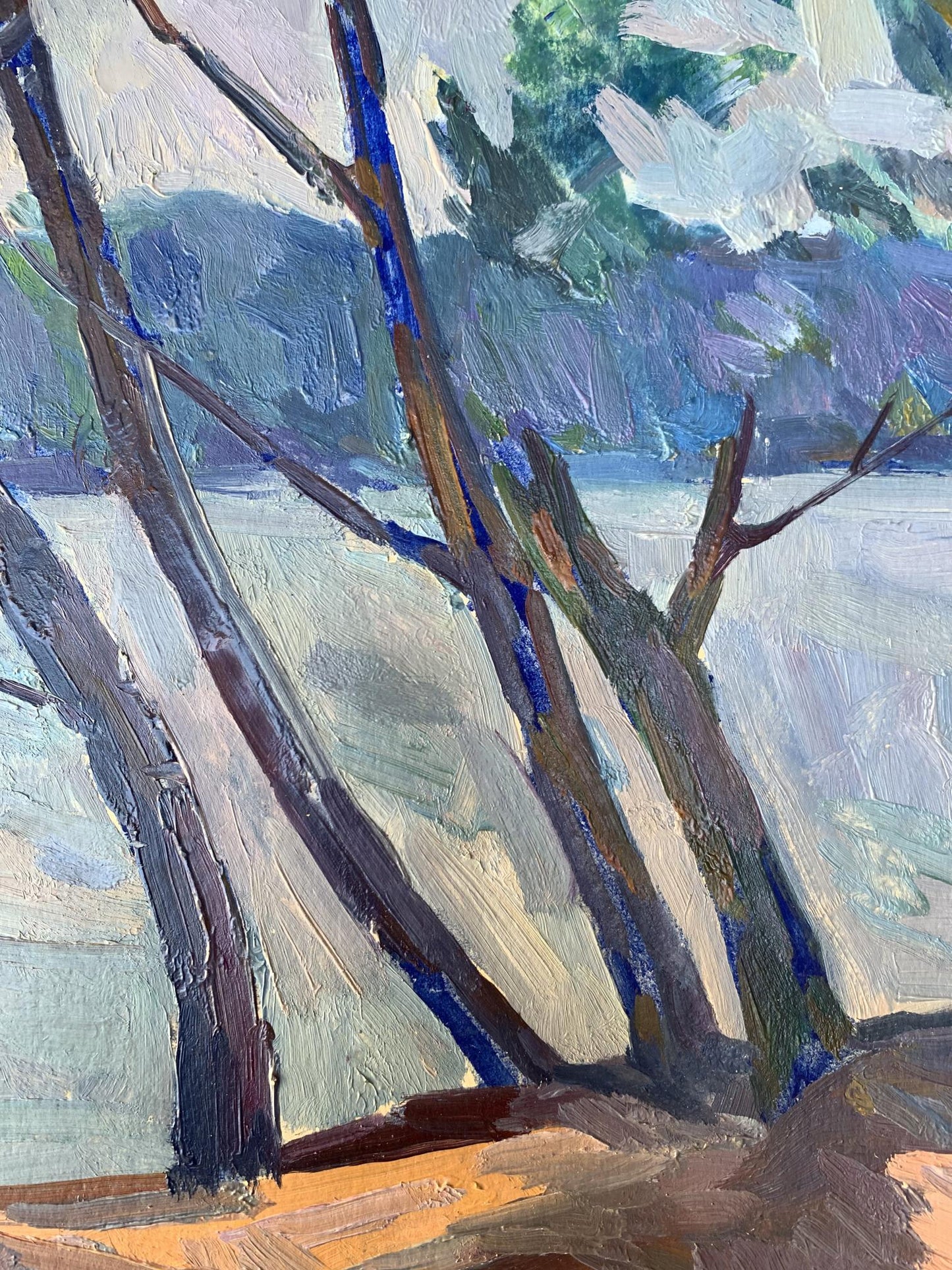 Oil painting Windy Coast Peter Dobrev