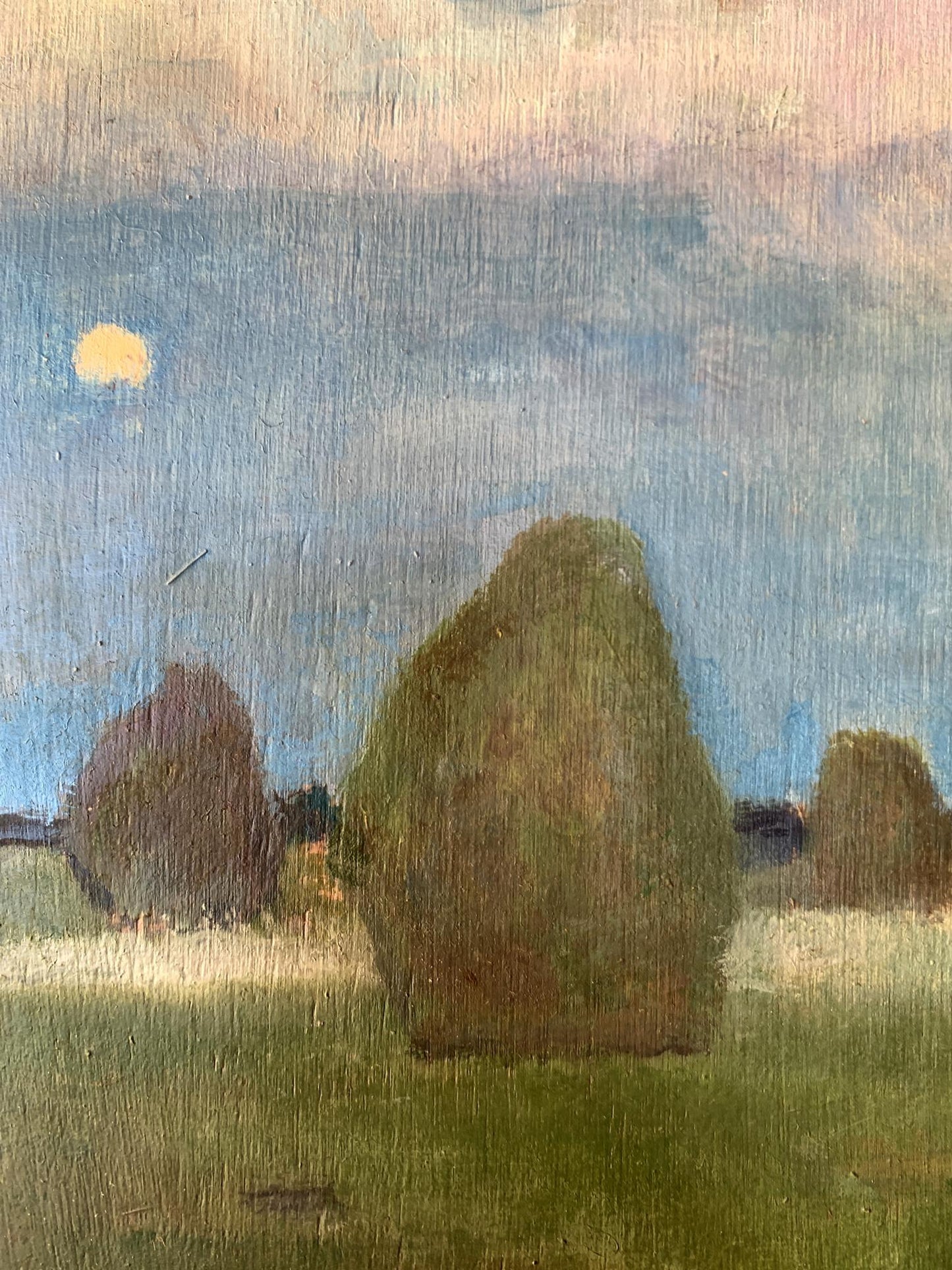 Oil painting In the night field Leonid Maistrenko