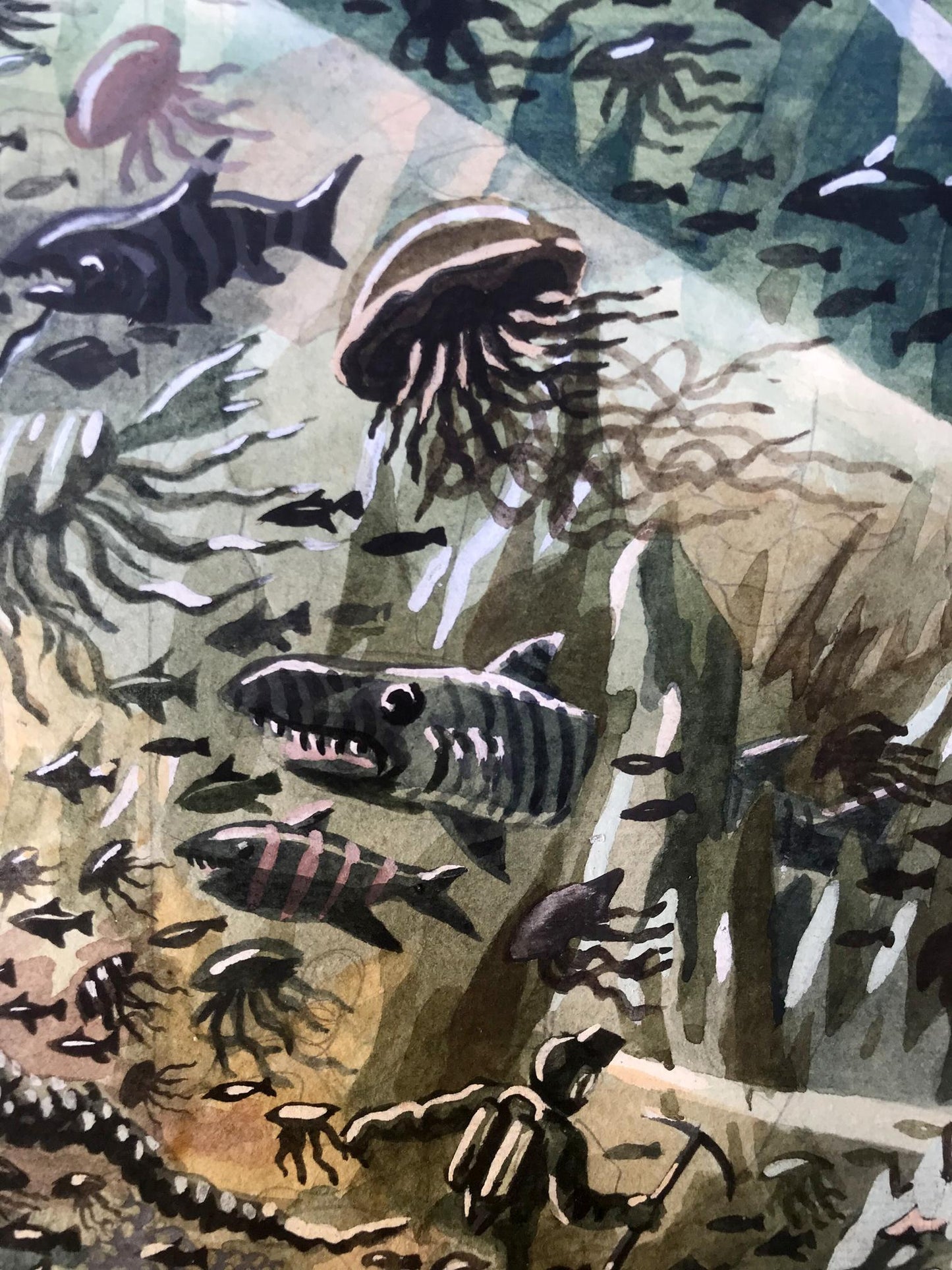 Watercolor painting Undersea world Alexander Arkadievich Litvinov