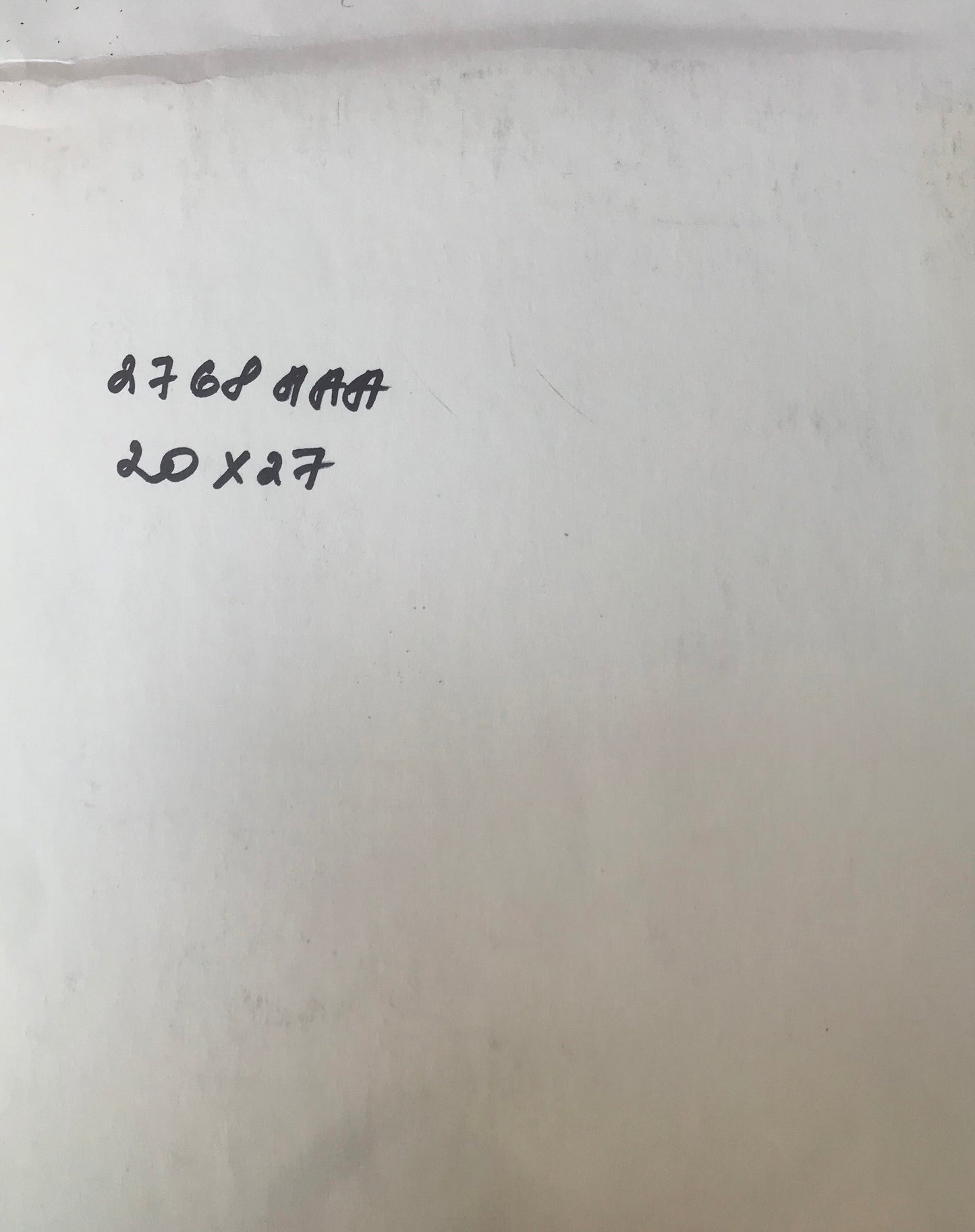 Pen painting Old and big tree in the village Alexander Litvinov