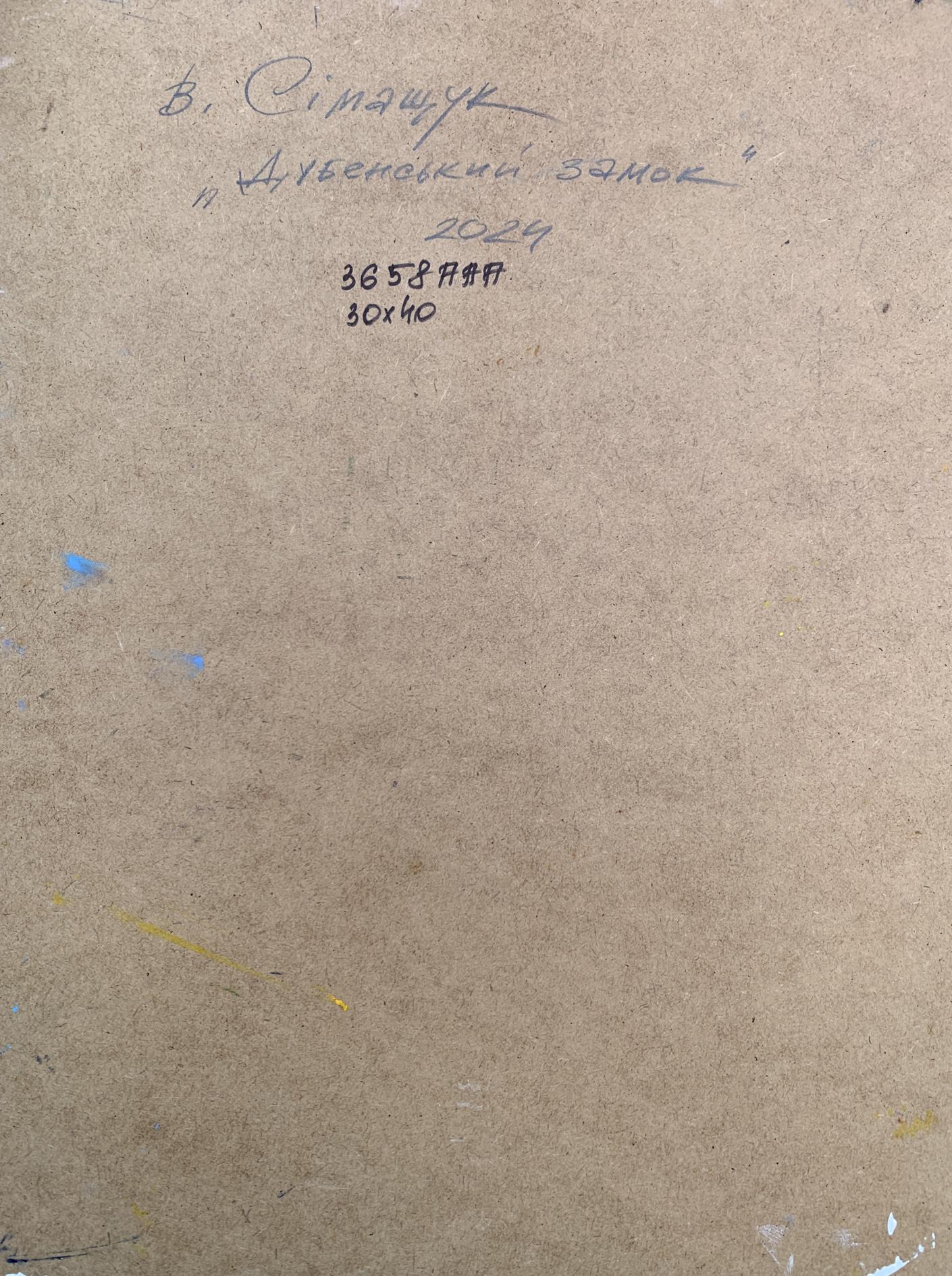 Oil painting View from the castle Valentina Simashchuk