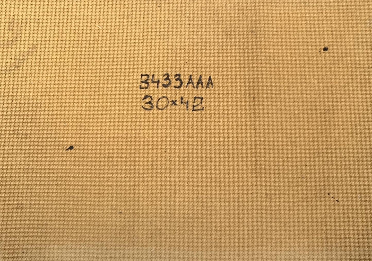 Oil painting After the night snowstorm Mykhailo Burdylo