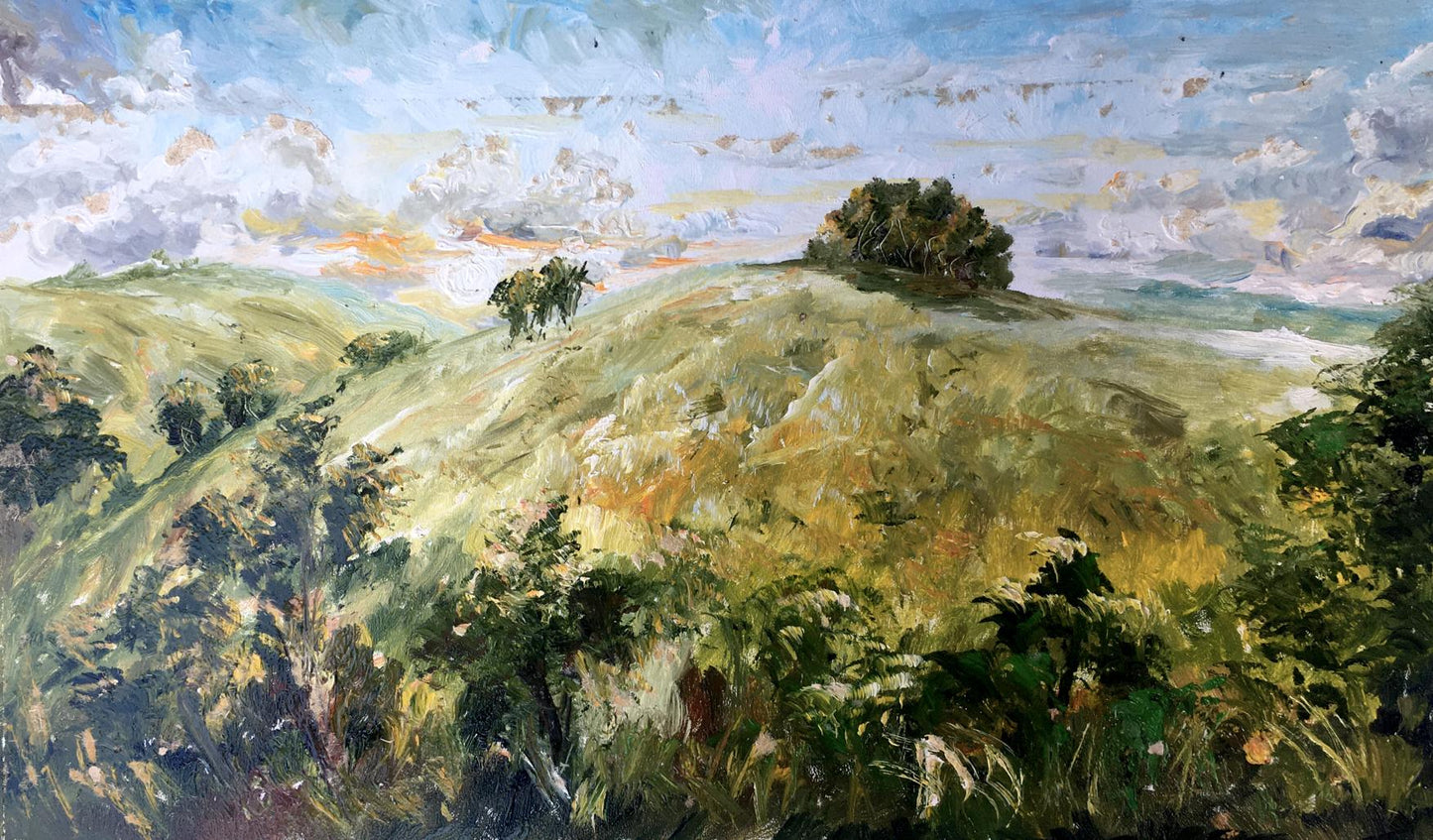 Oil painting Mountain fields Unknown artist