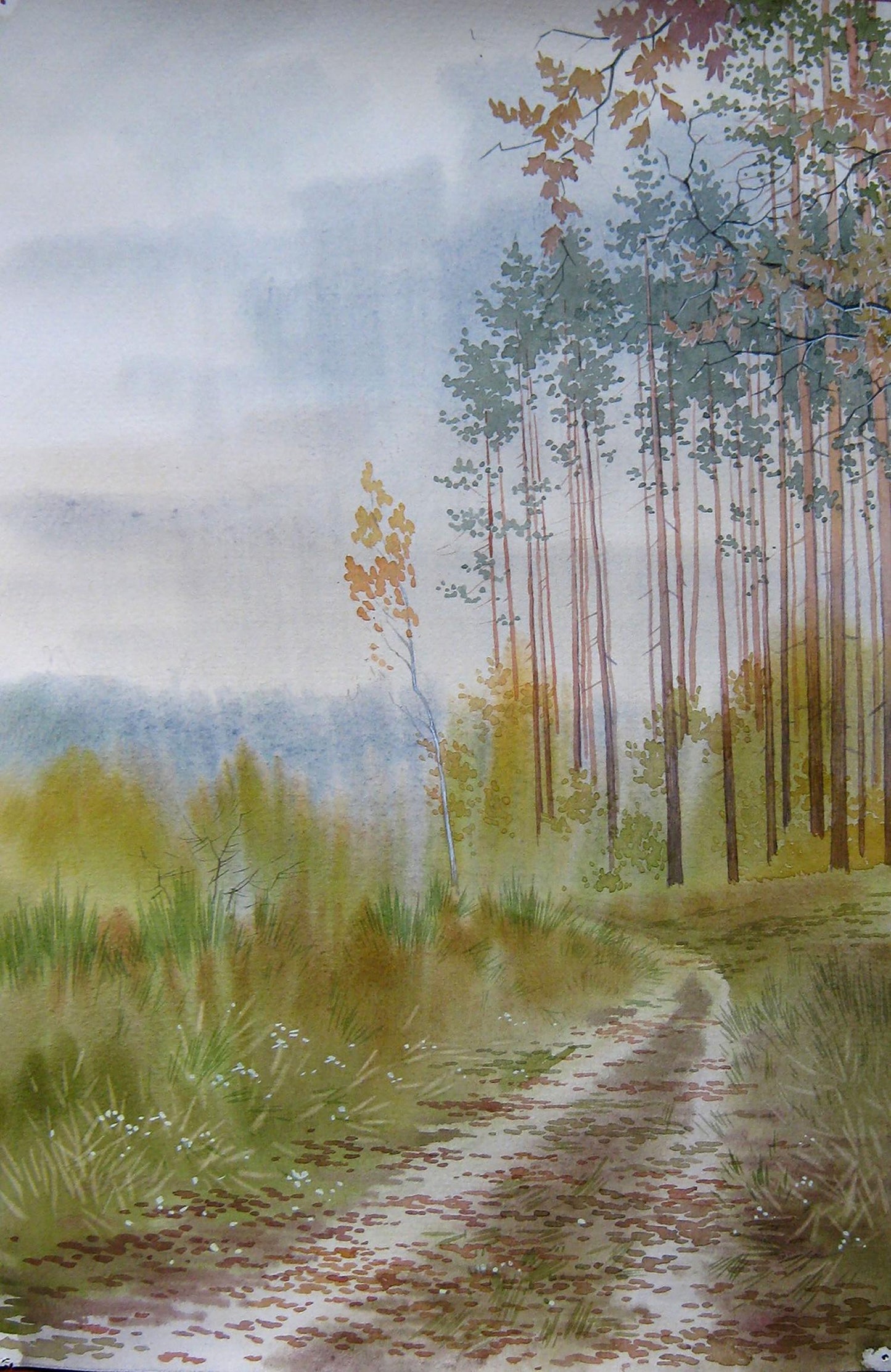 Watercolor painting Autumn road in the forest Valery Savenets