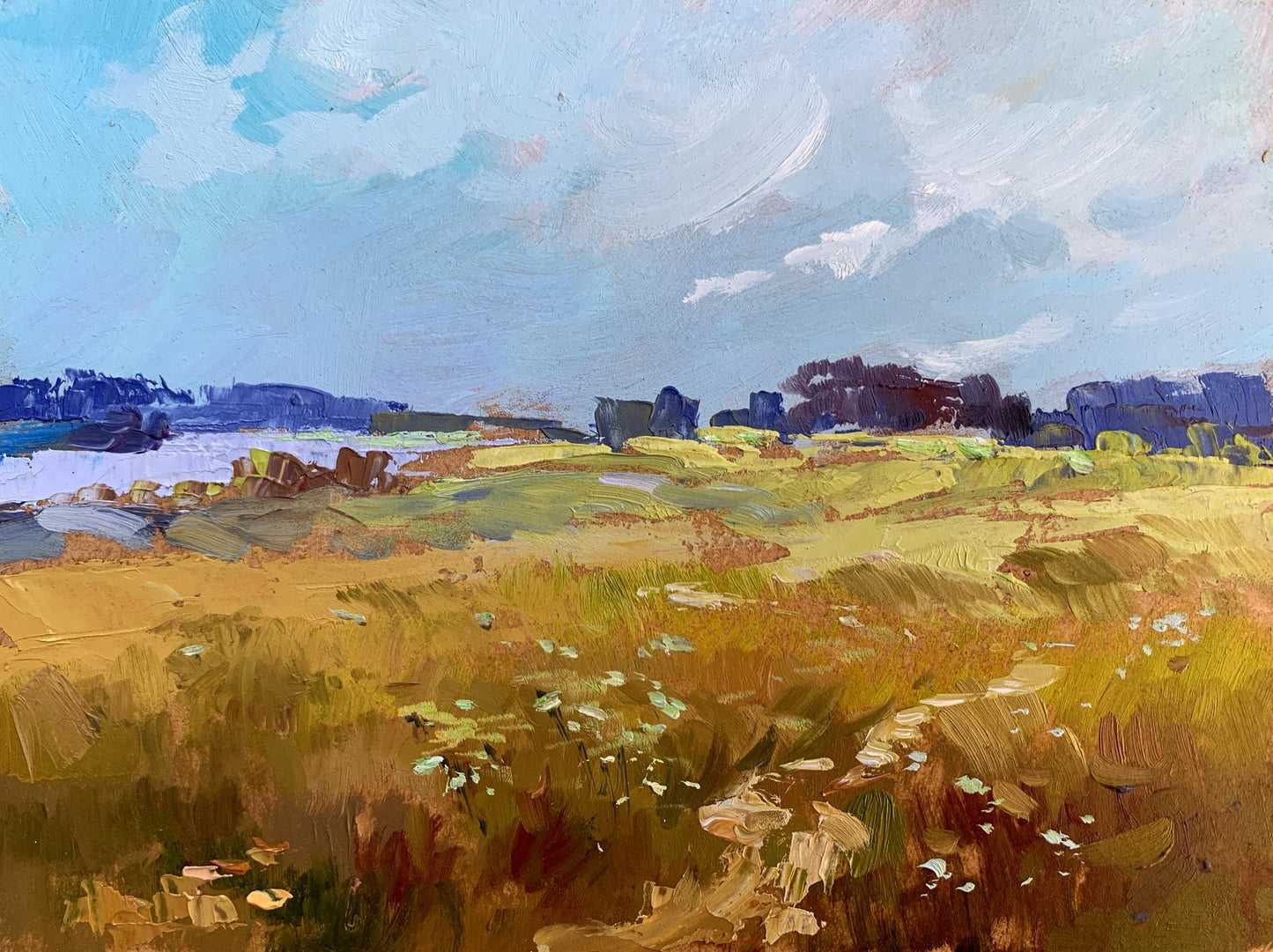 OIl painting Summer yellow field Yuriy Suprunchuk