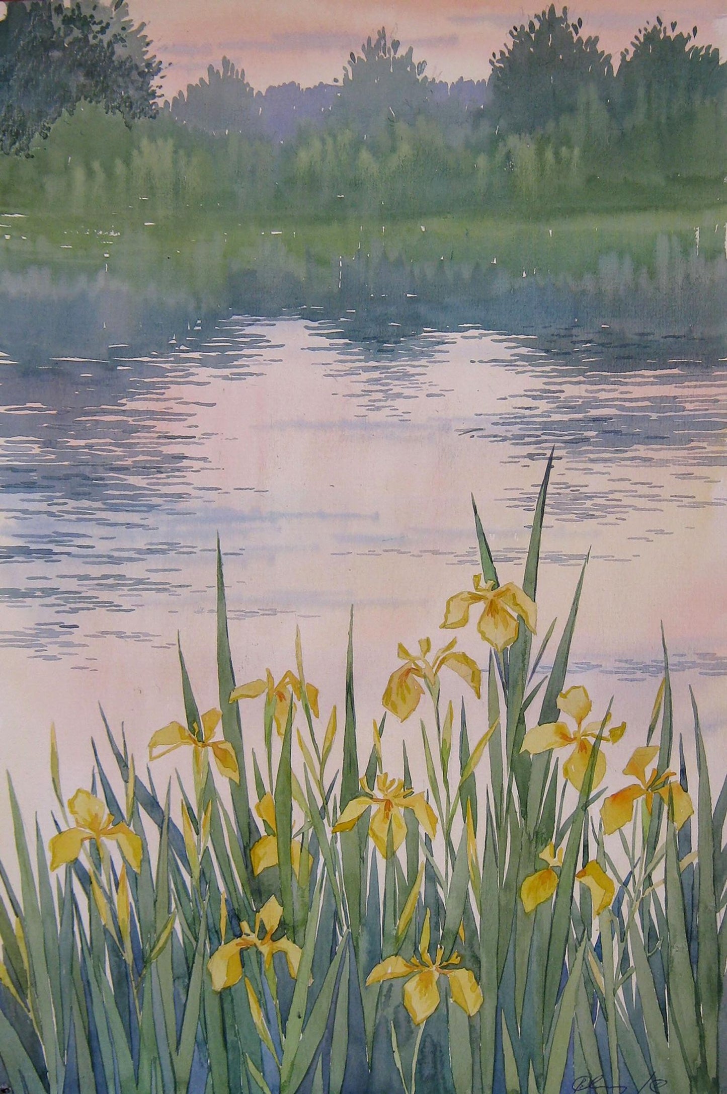 Watercolor painting Irises Savenets Valery