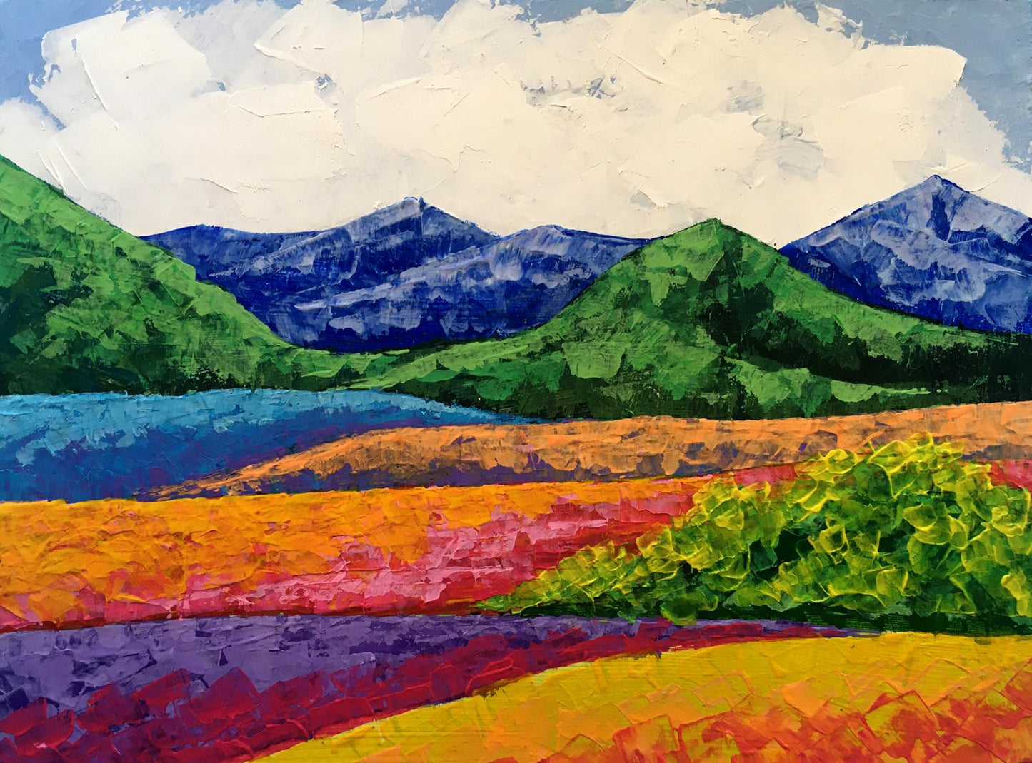 Oil painting Fresh air in the mountains Zadorozhnya V. V.