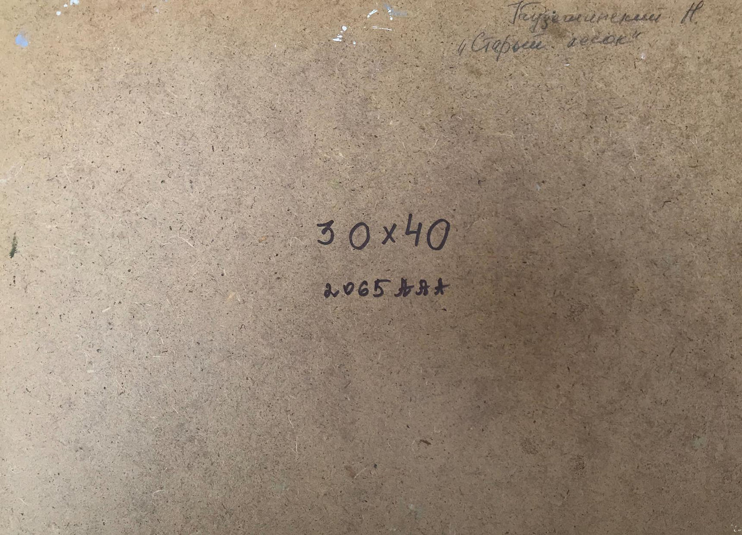 Oil painting Old forest Kuzeminsky Nikolay Borisovich