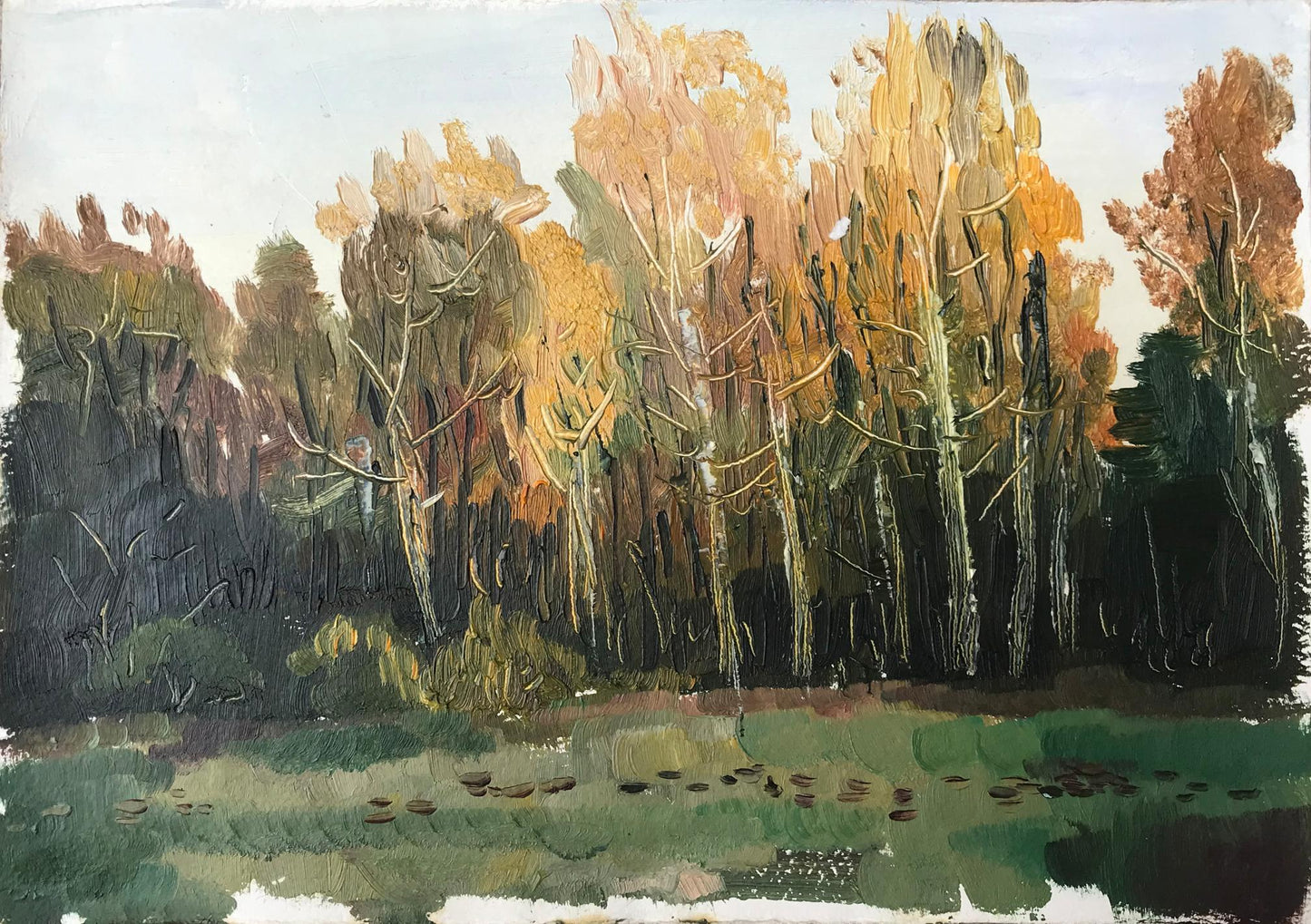 Oil painting Gold autumn Unknown artist