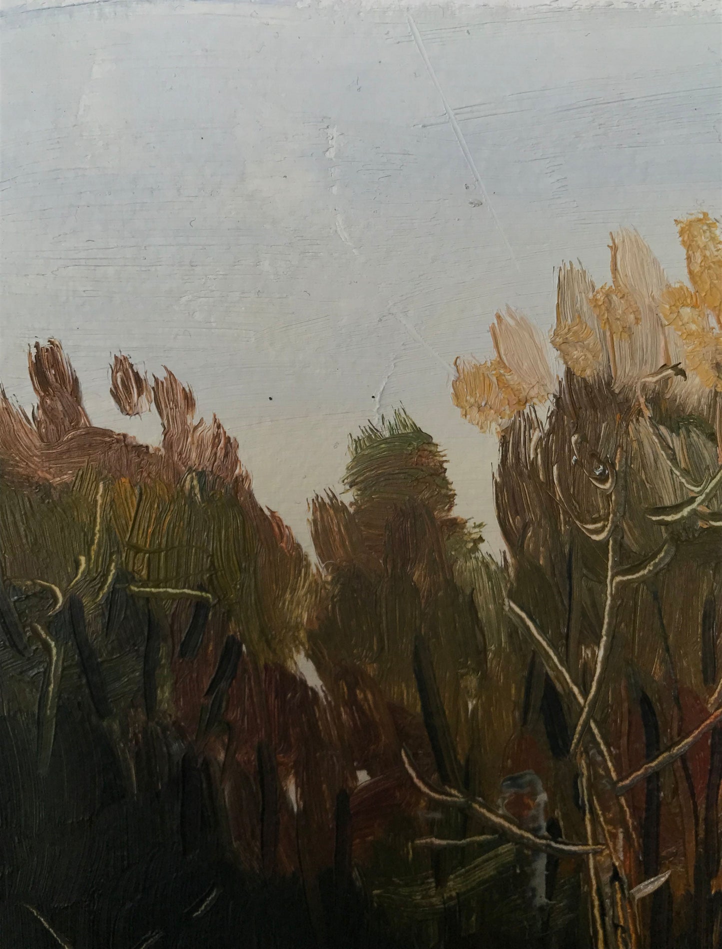 Oil painting Gold autumn Unknown artist