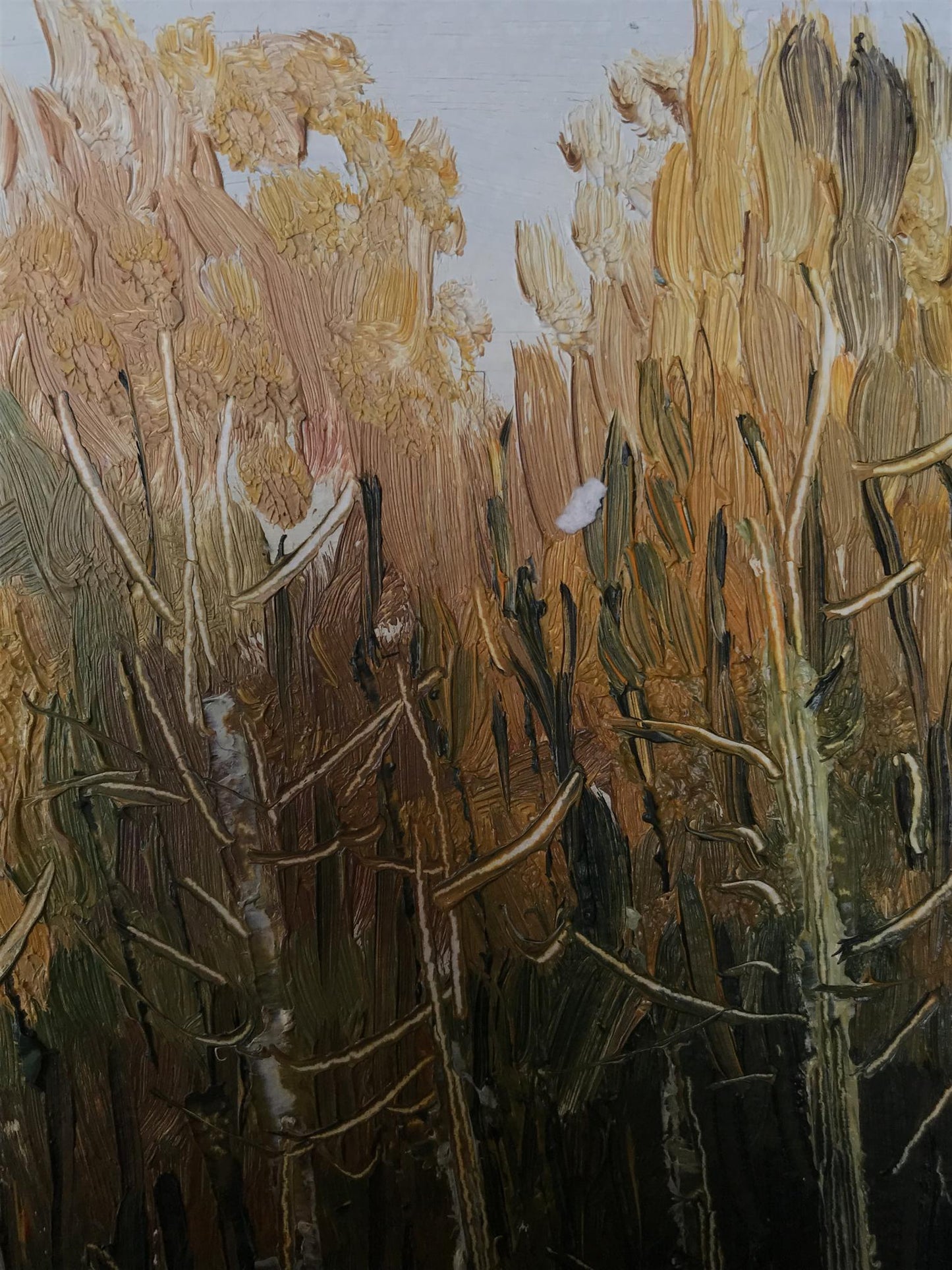 Oil painting Gold autumn Unknown artist
