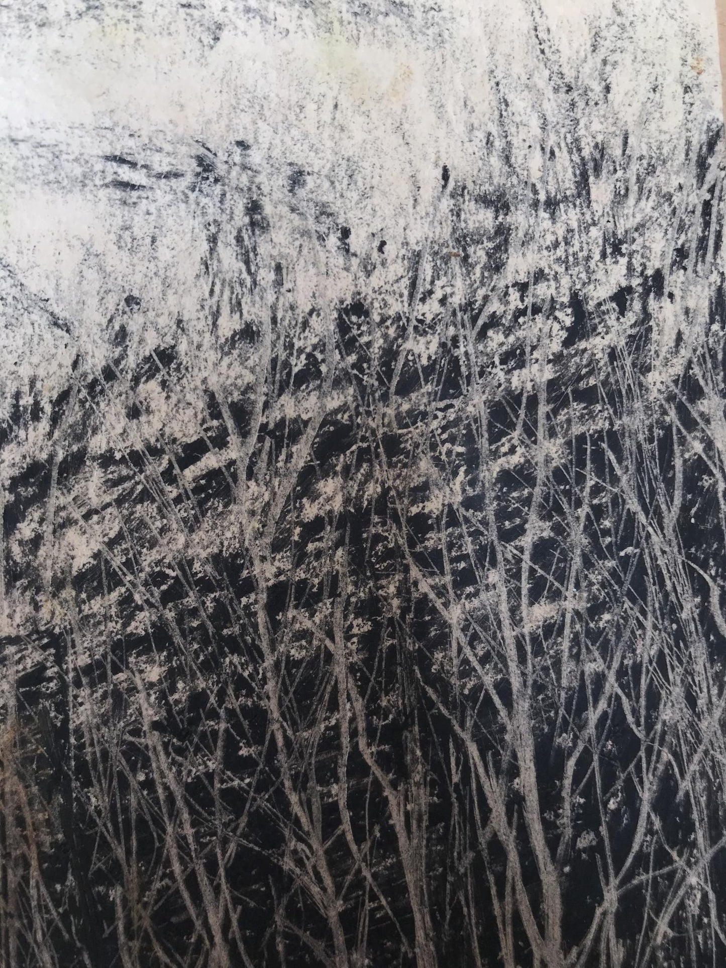 Graphic painting Winter forest Unknown artist