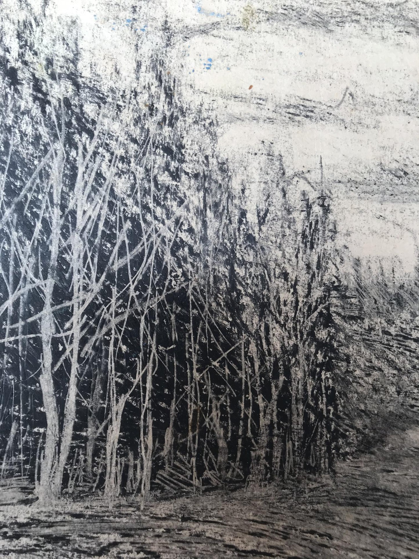 Graphic painting Winter forest Unknown artist