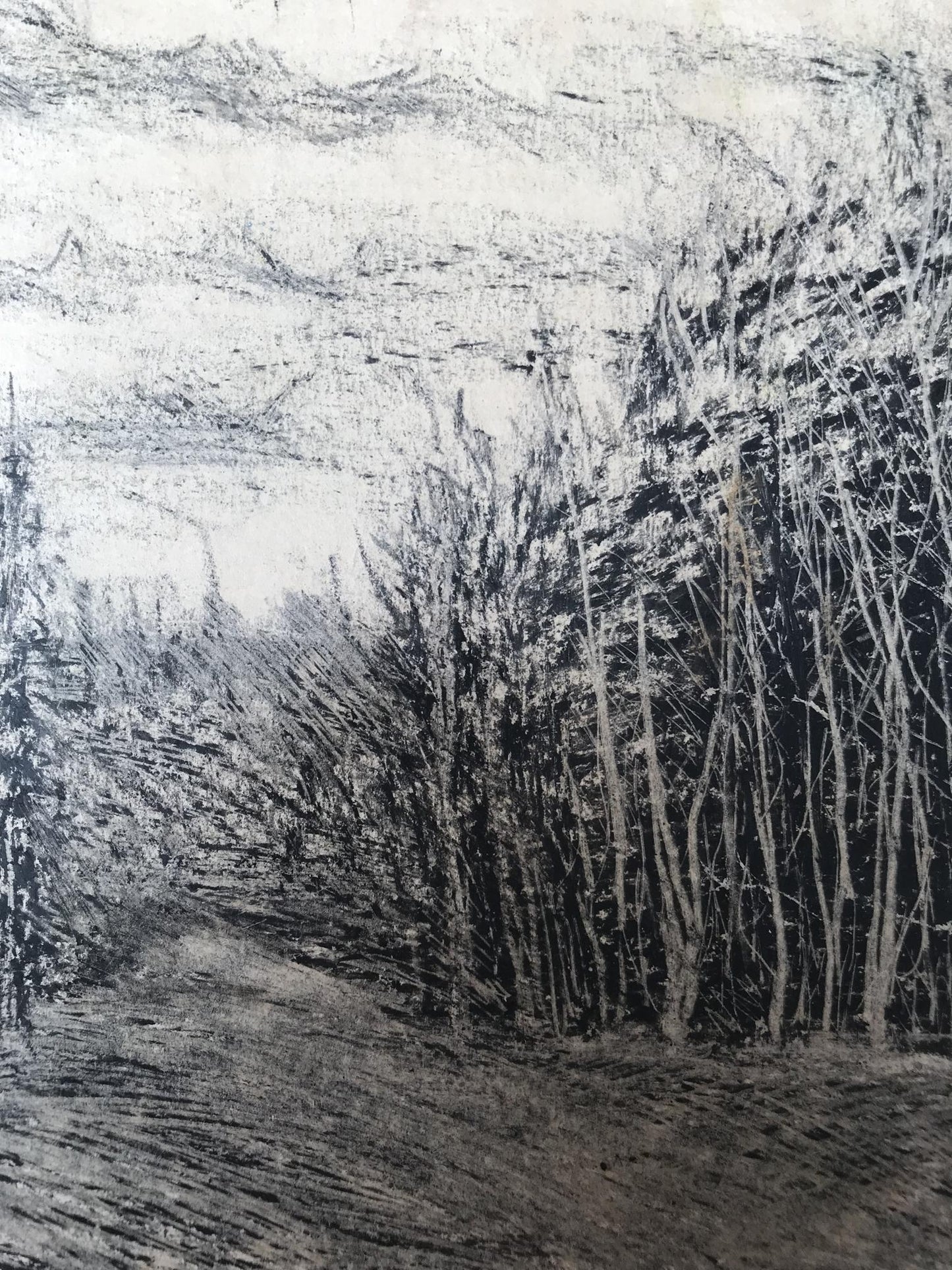 Graphic painting Winter forest Unknown artist