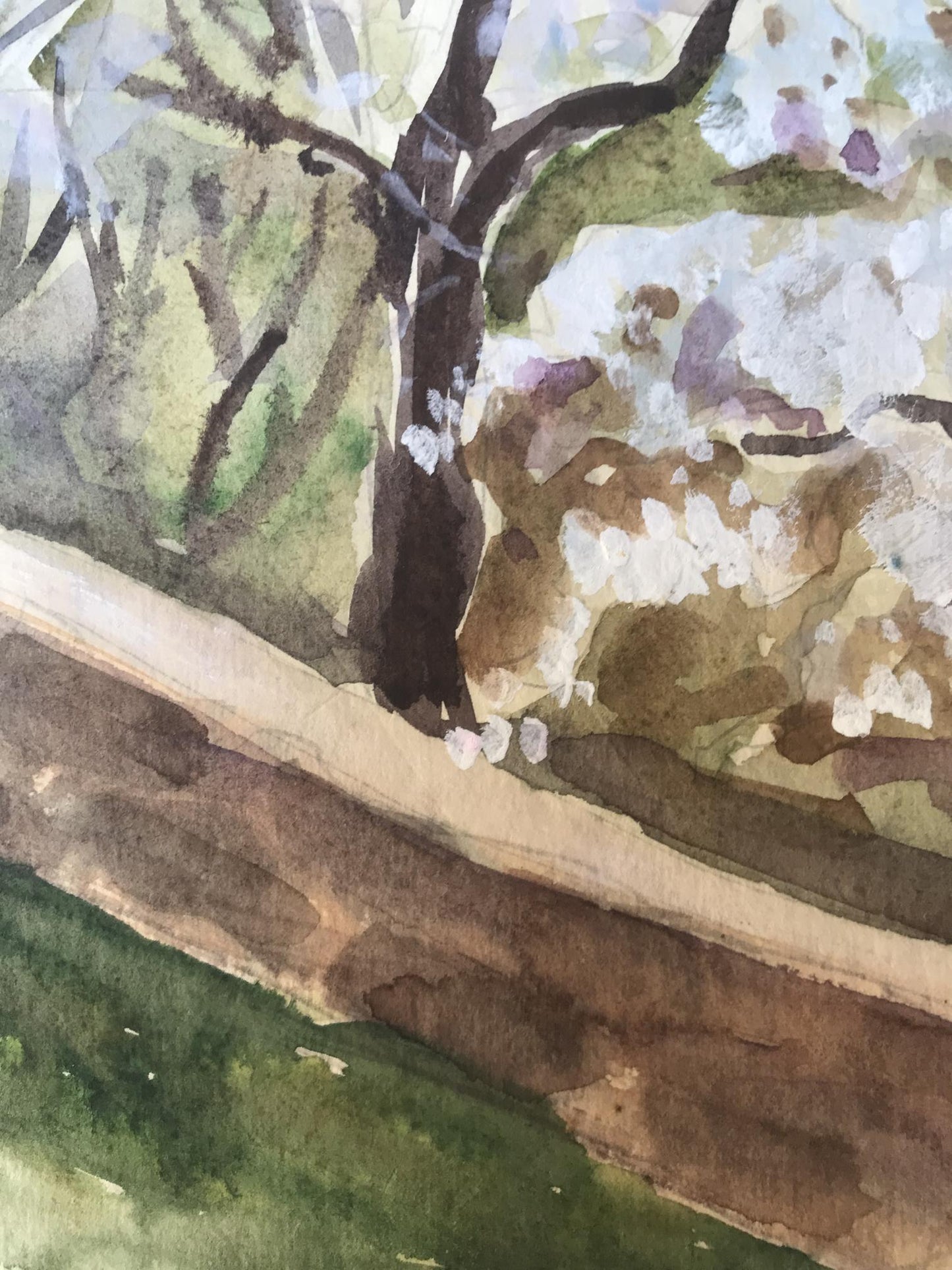 Watercolor painting Trees bloom Unknown artist