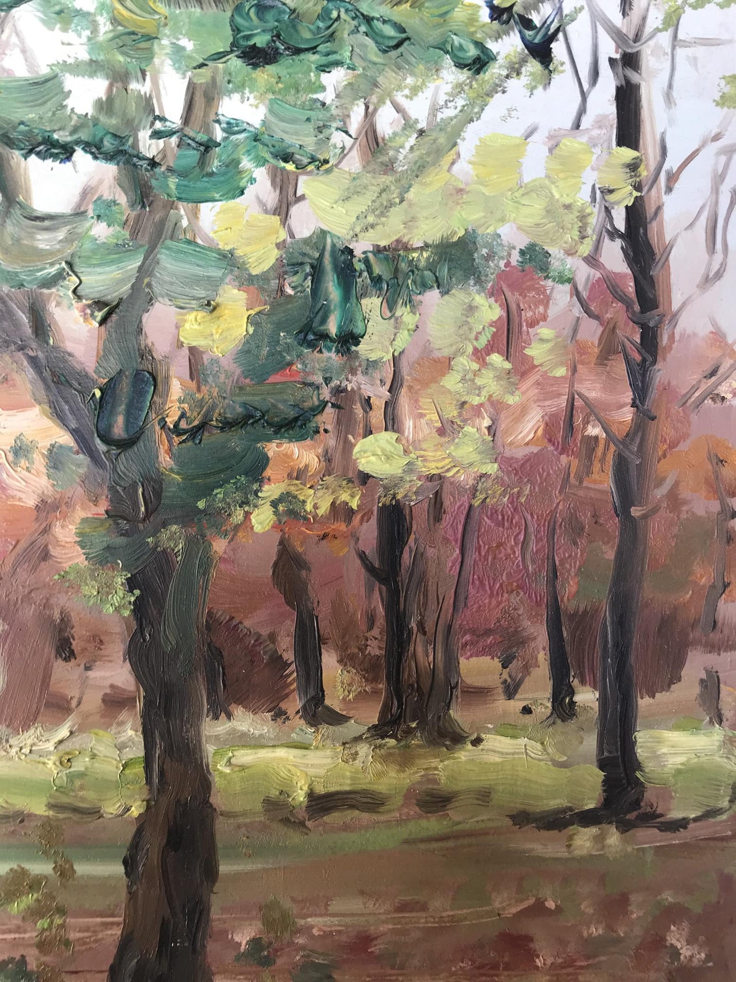 Oil painting Forest park Nesterova A.