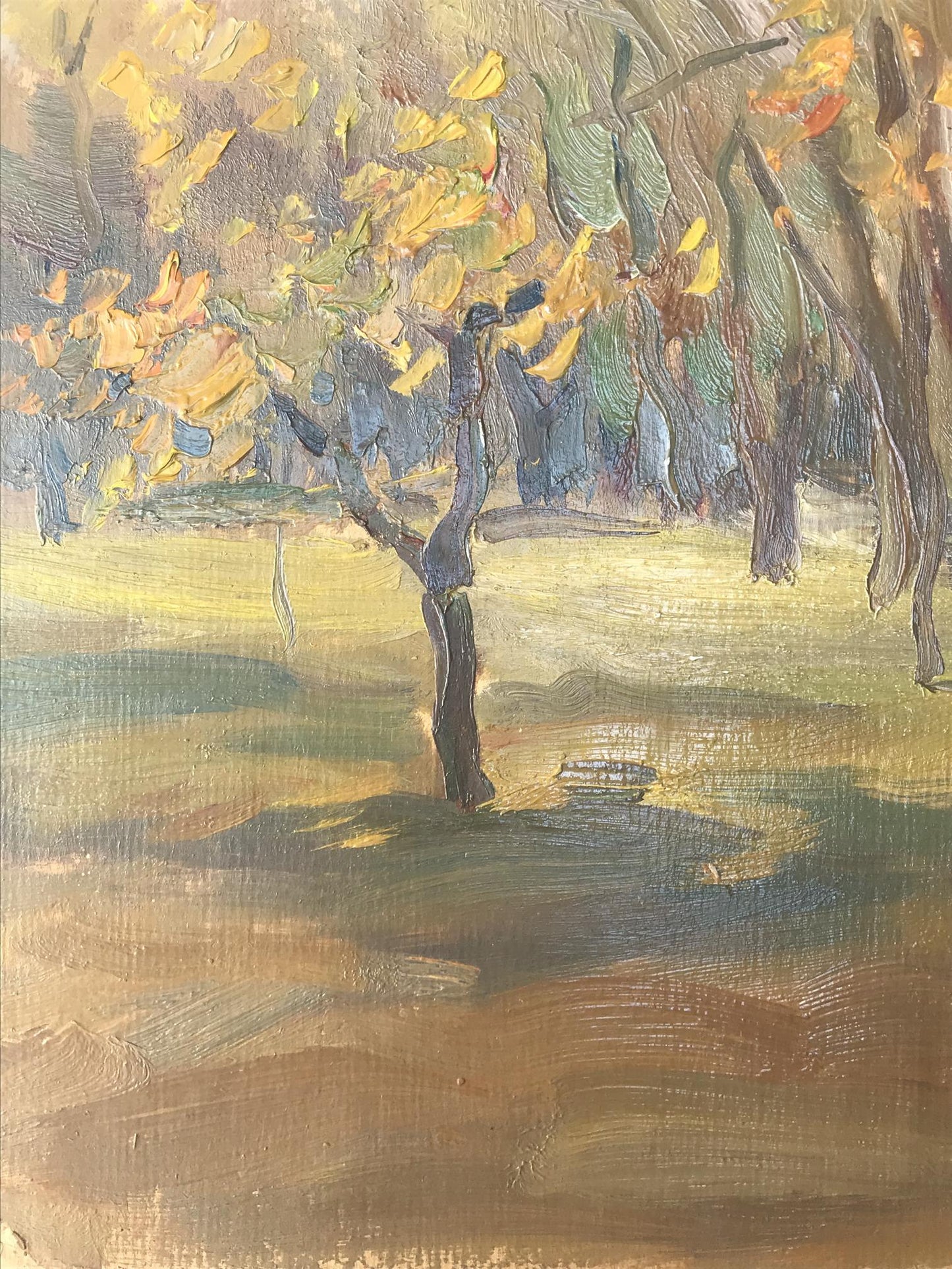 Oil painting Autumn forest Unknown artist