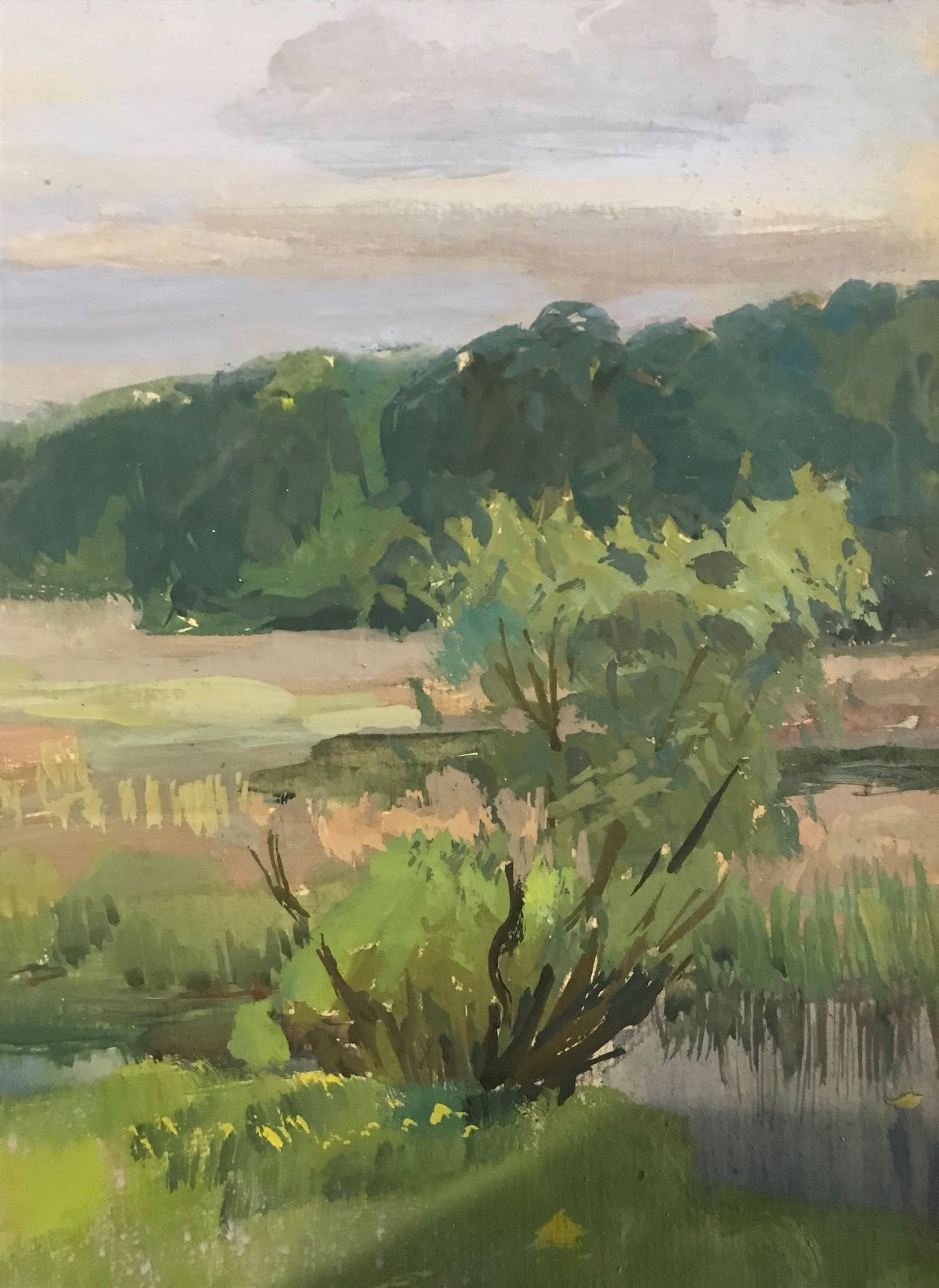 Spring countryside