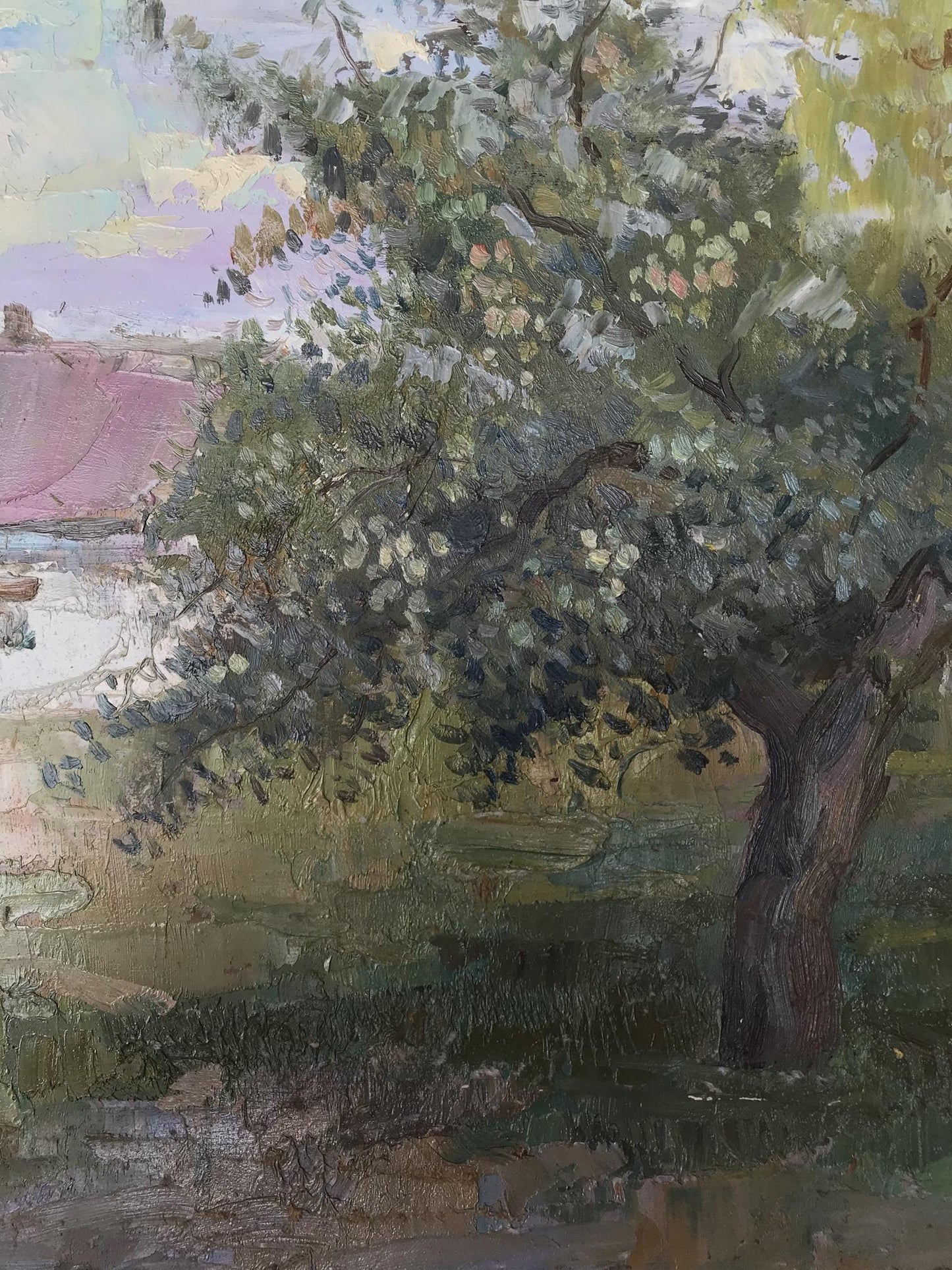Rural landscape