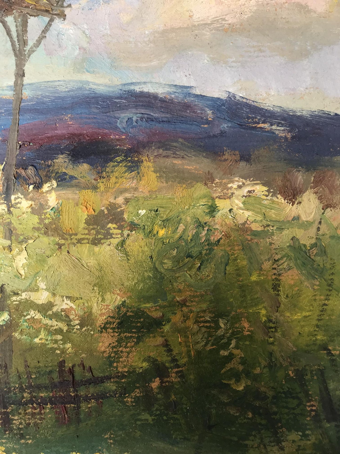 countryside