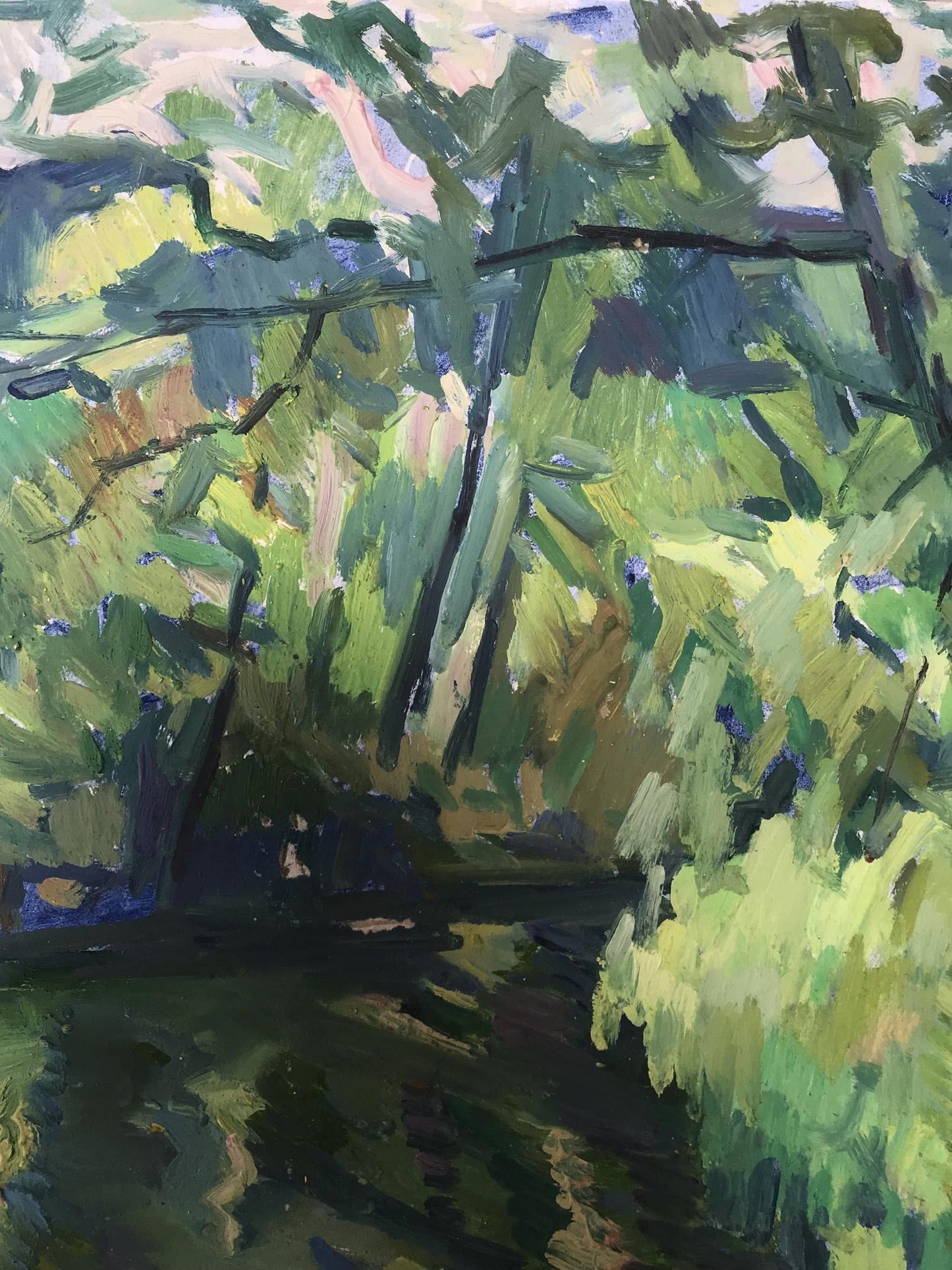 Forest landscape
