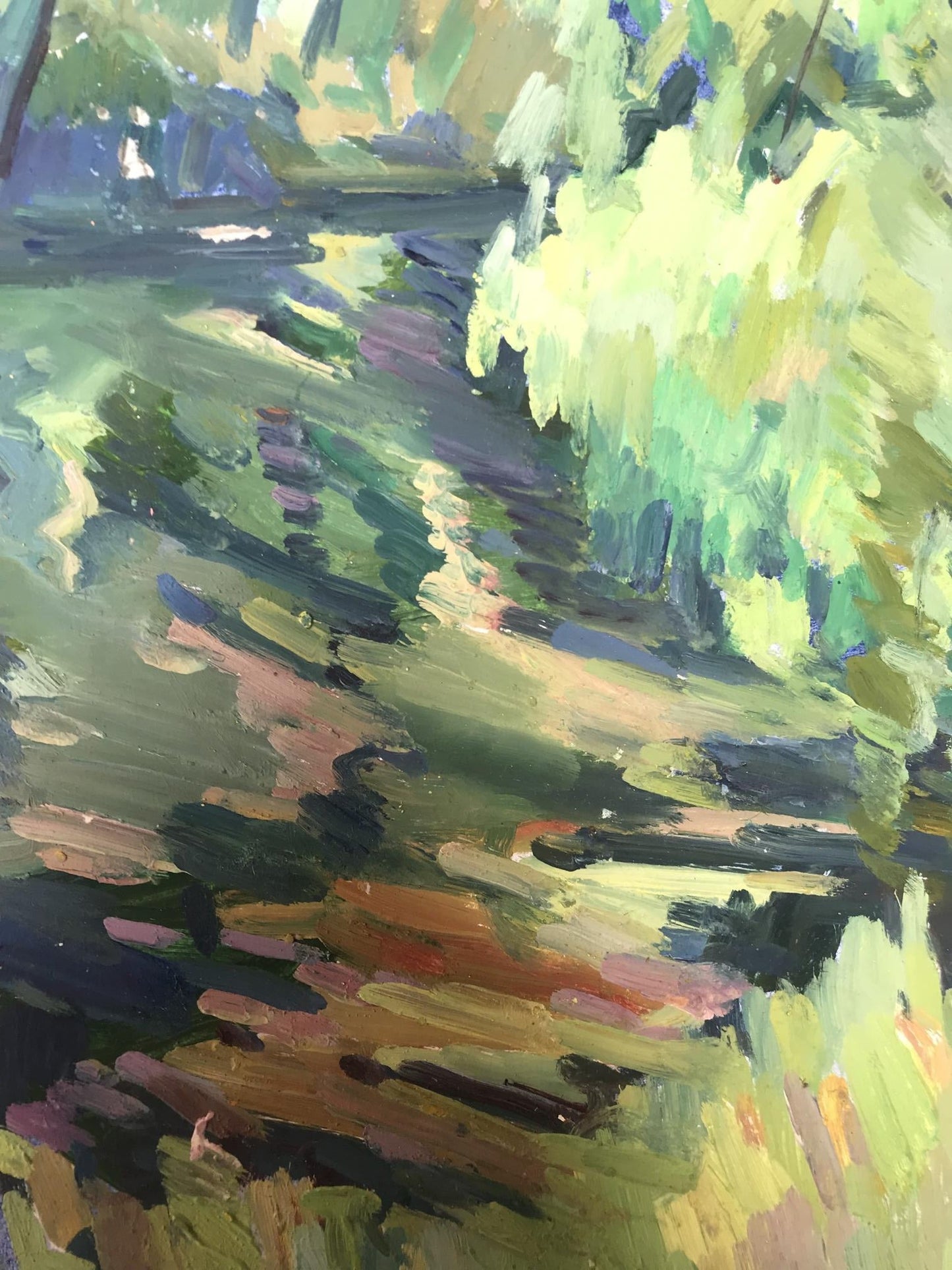 Summer Forest