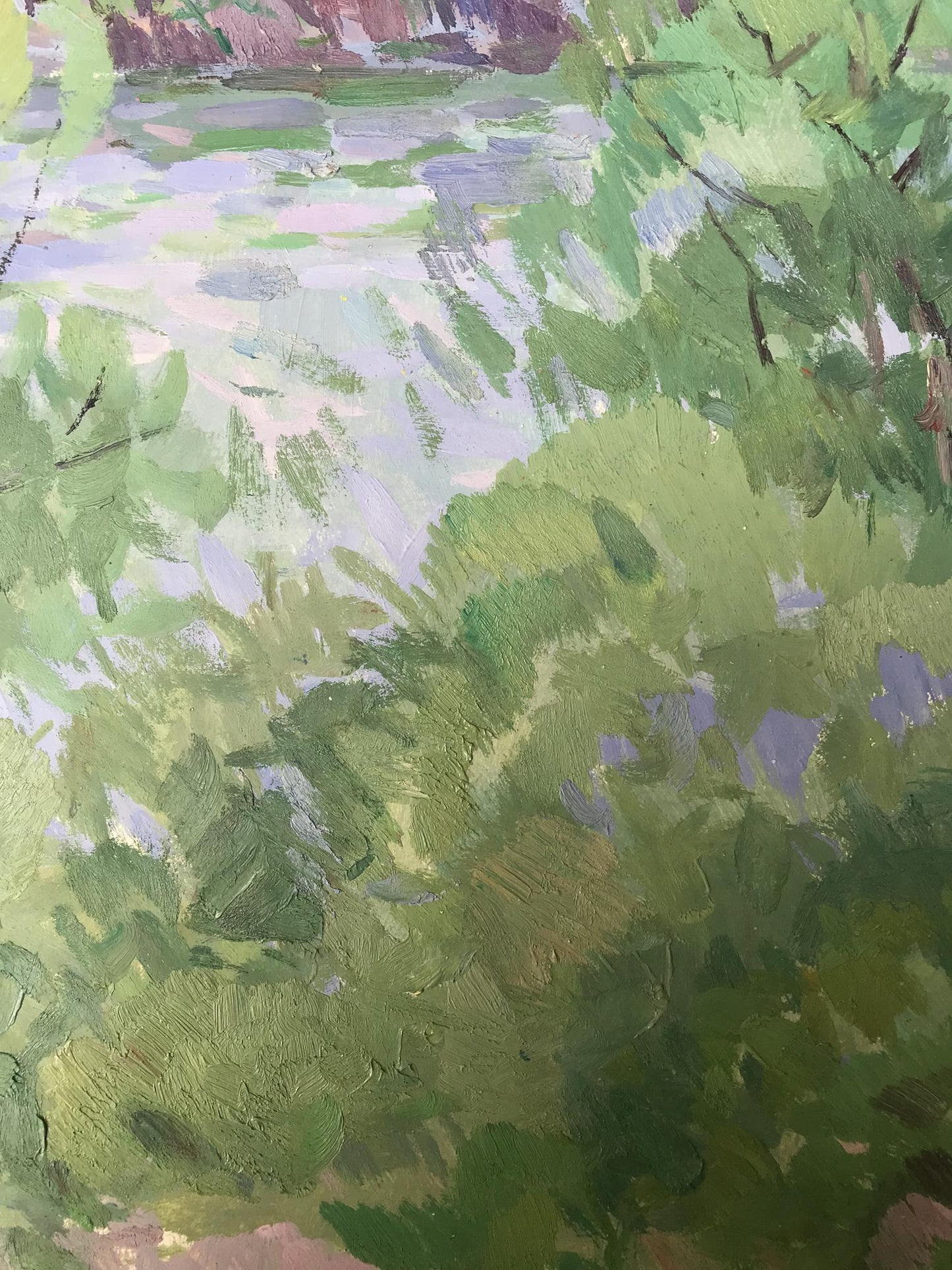 River Landscape