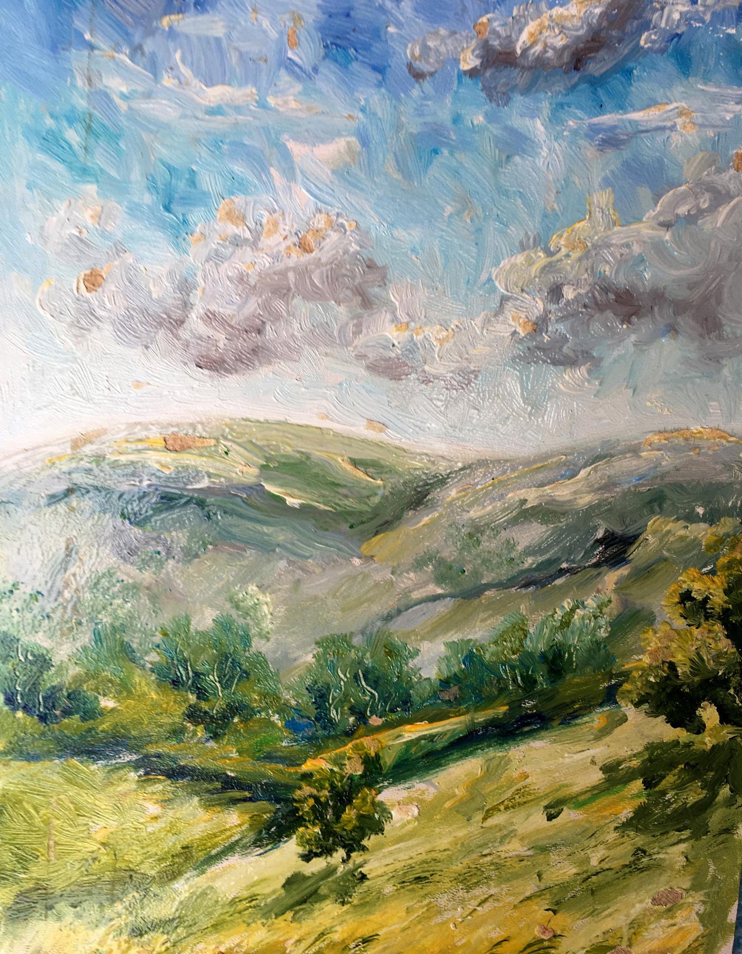 Oil painting After the rain Unknown artist